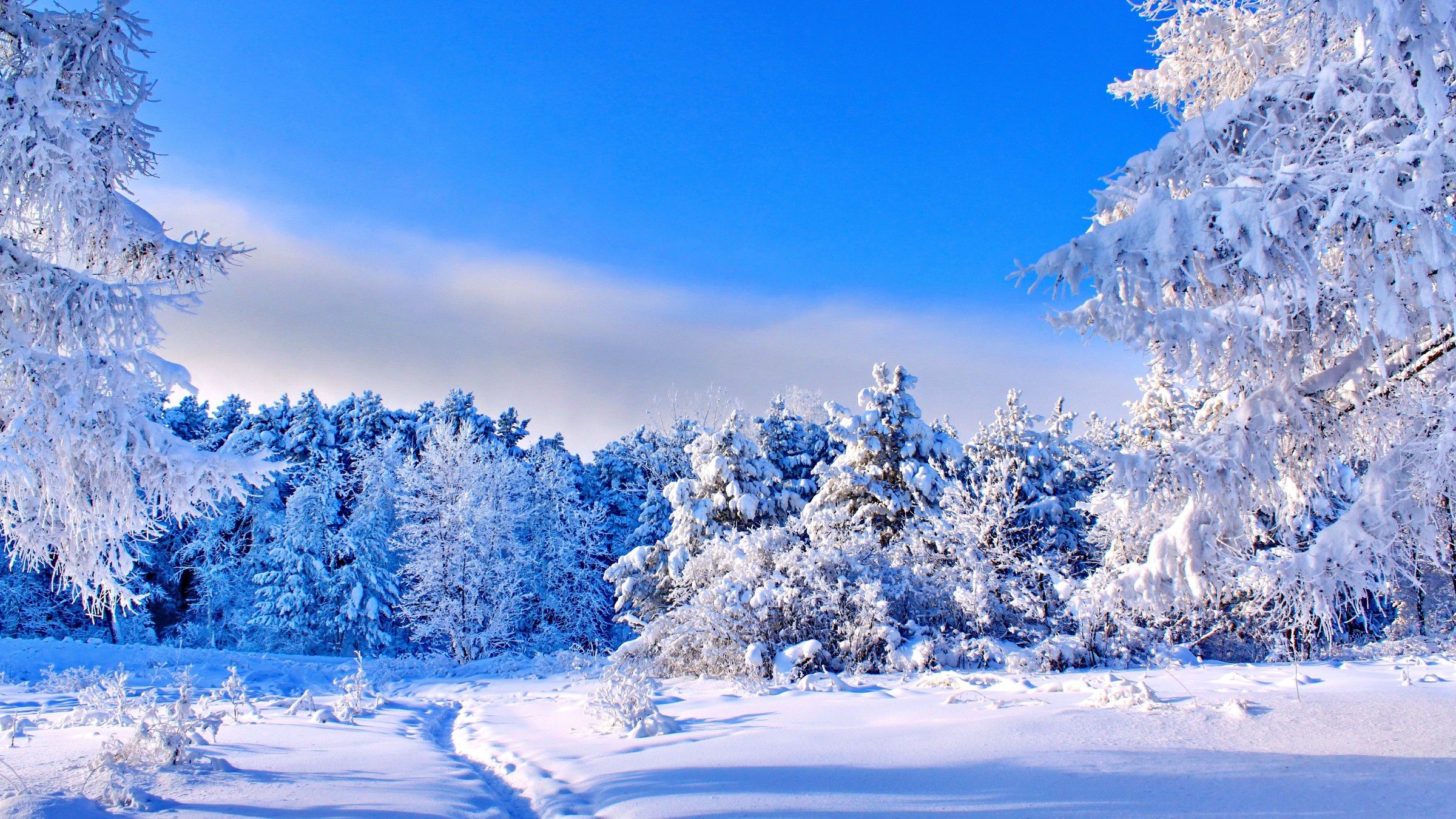 Winter Day Wallpaper Free Winter Day Background