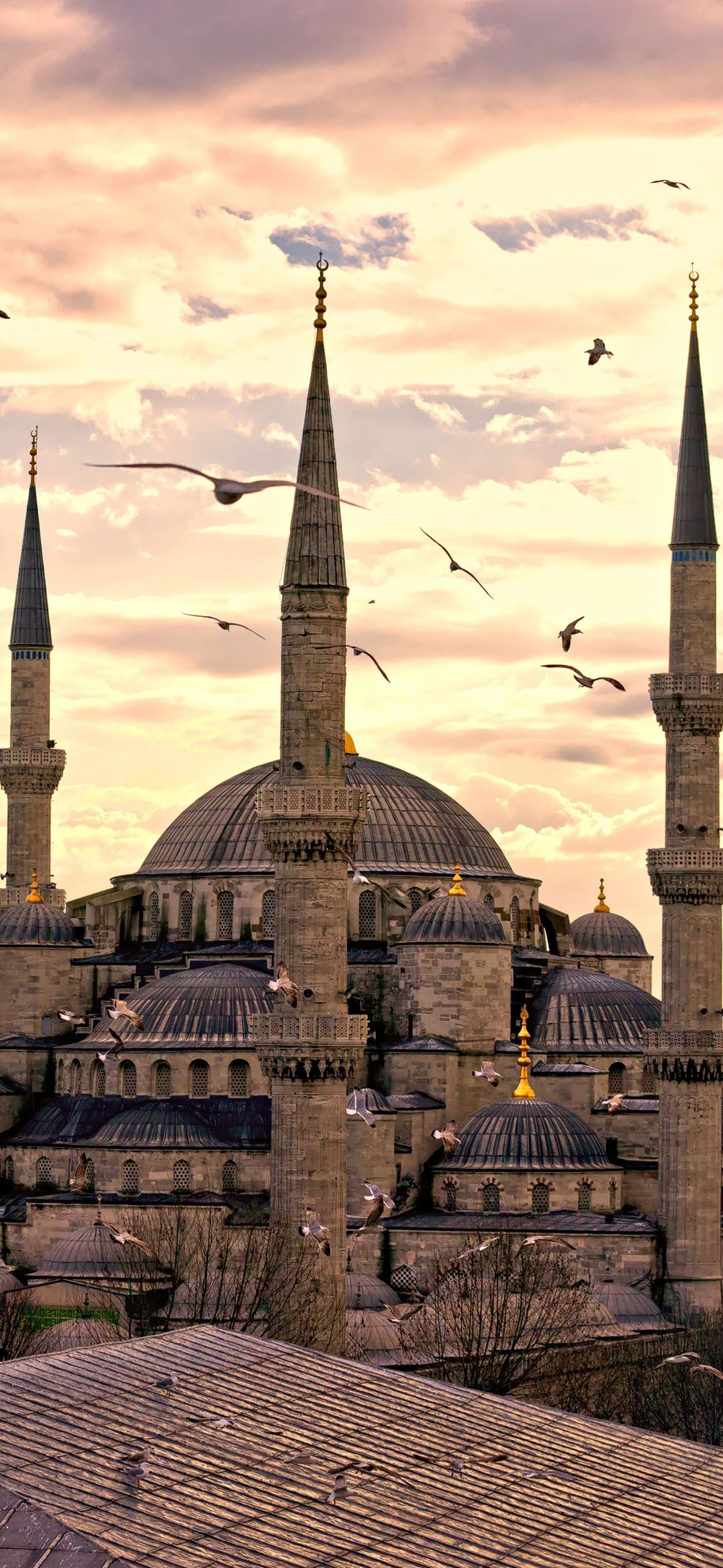 Mosque iPhone Wallpaper