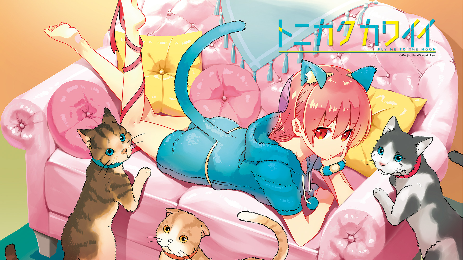 Yuzaki Tsukasa [Tonikaku Kawaii] [1920x1080]: Animewallpaper