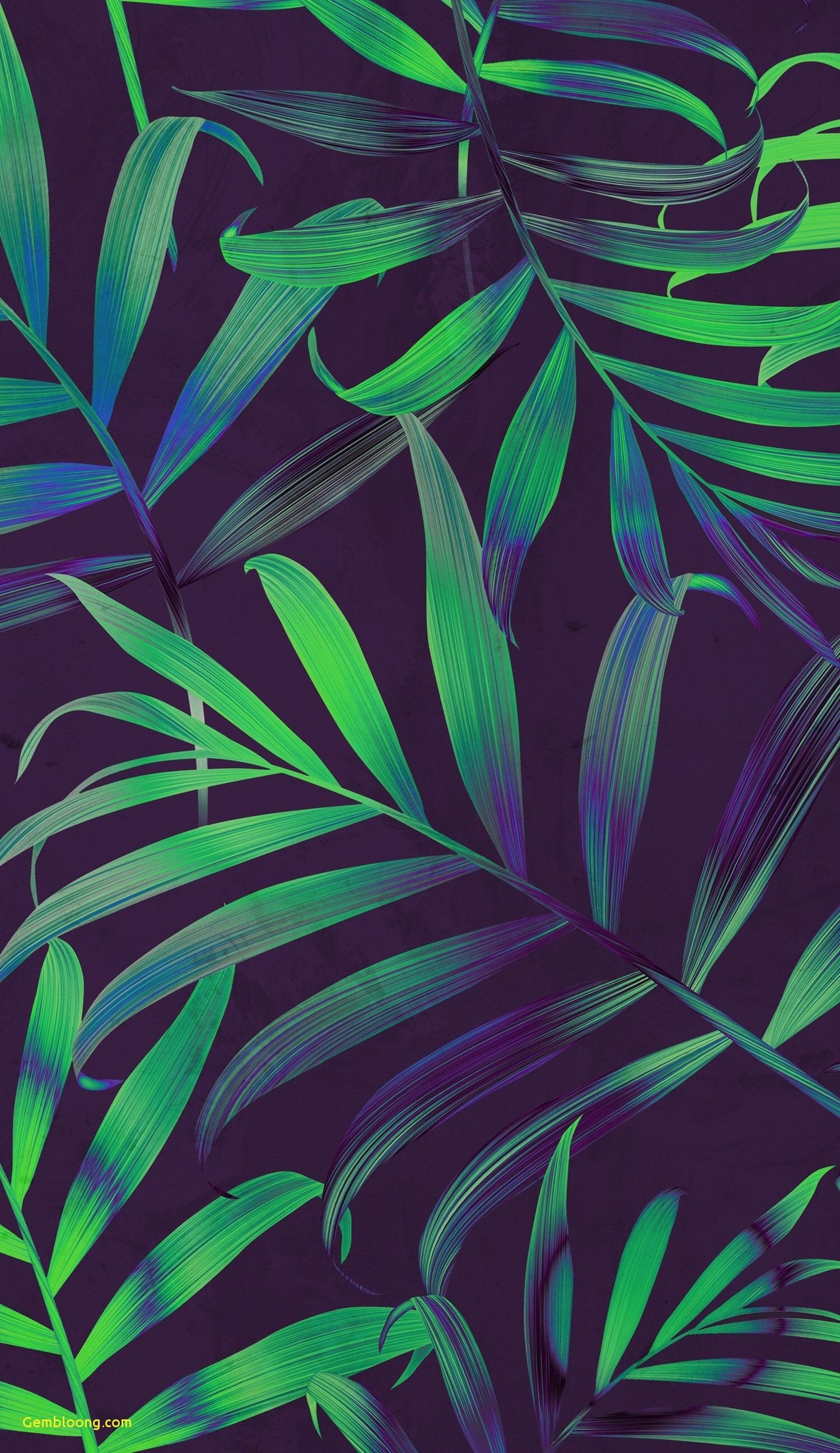 iPhone Wallpaper Dope Best Of Wallpaper For iPhone