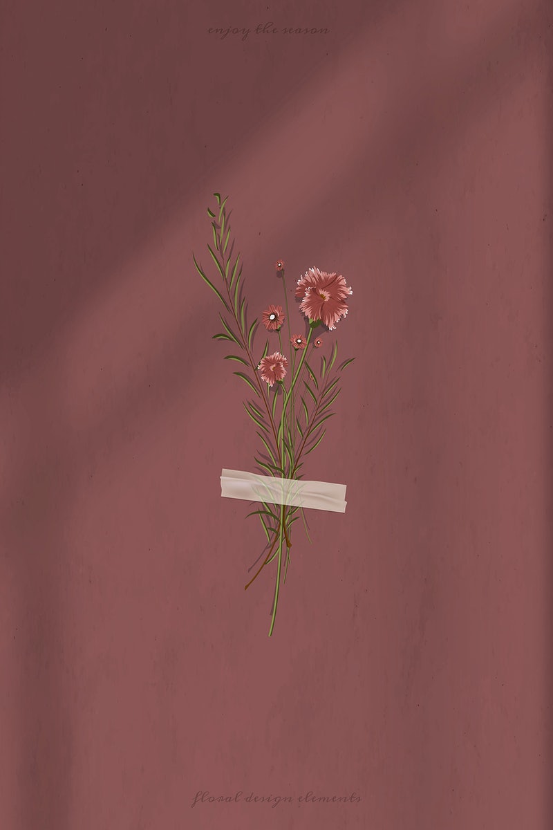 Dried Flower Image. Free HD Background, PNGs, Vector Graphics, Illustrations