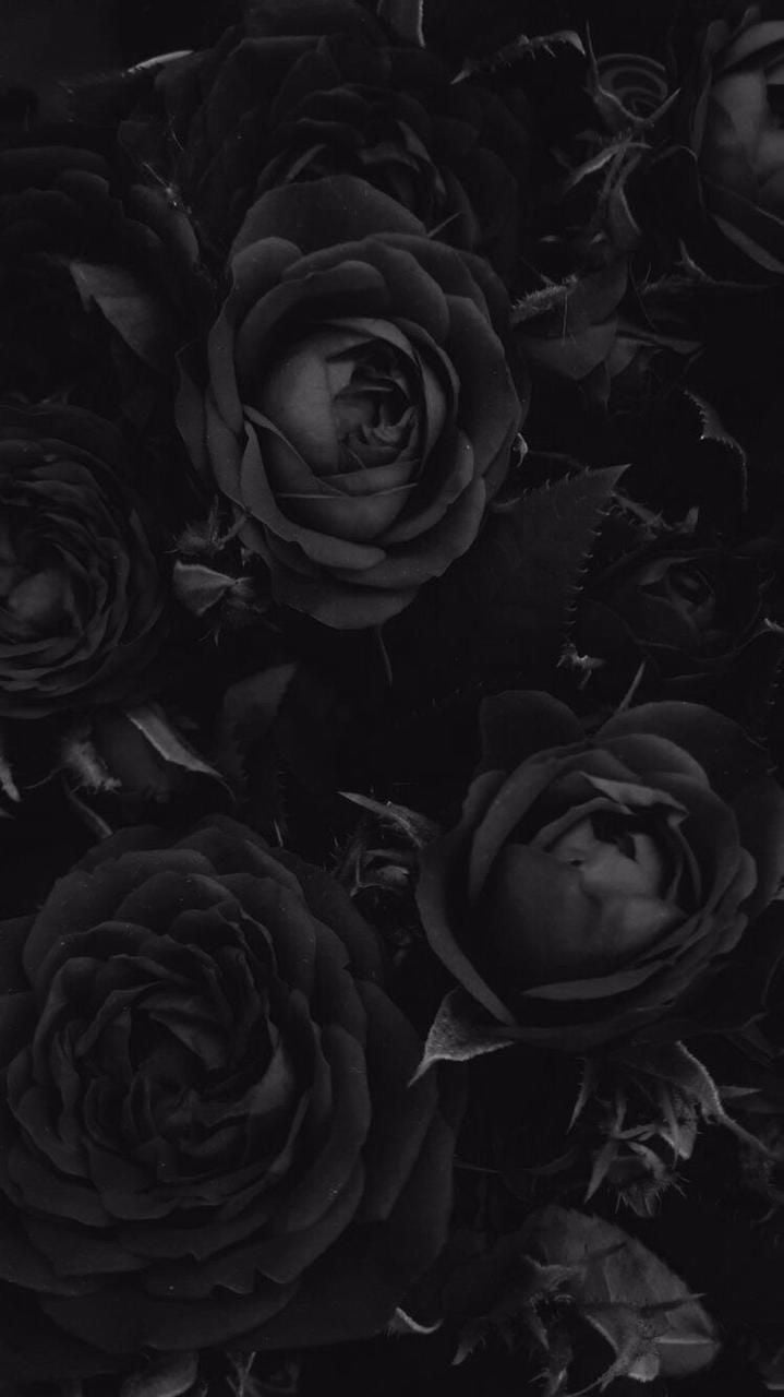 BTS themes. Черные розы, Теневые картинки, Абстрактное