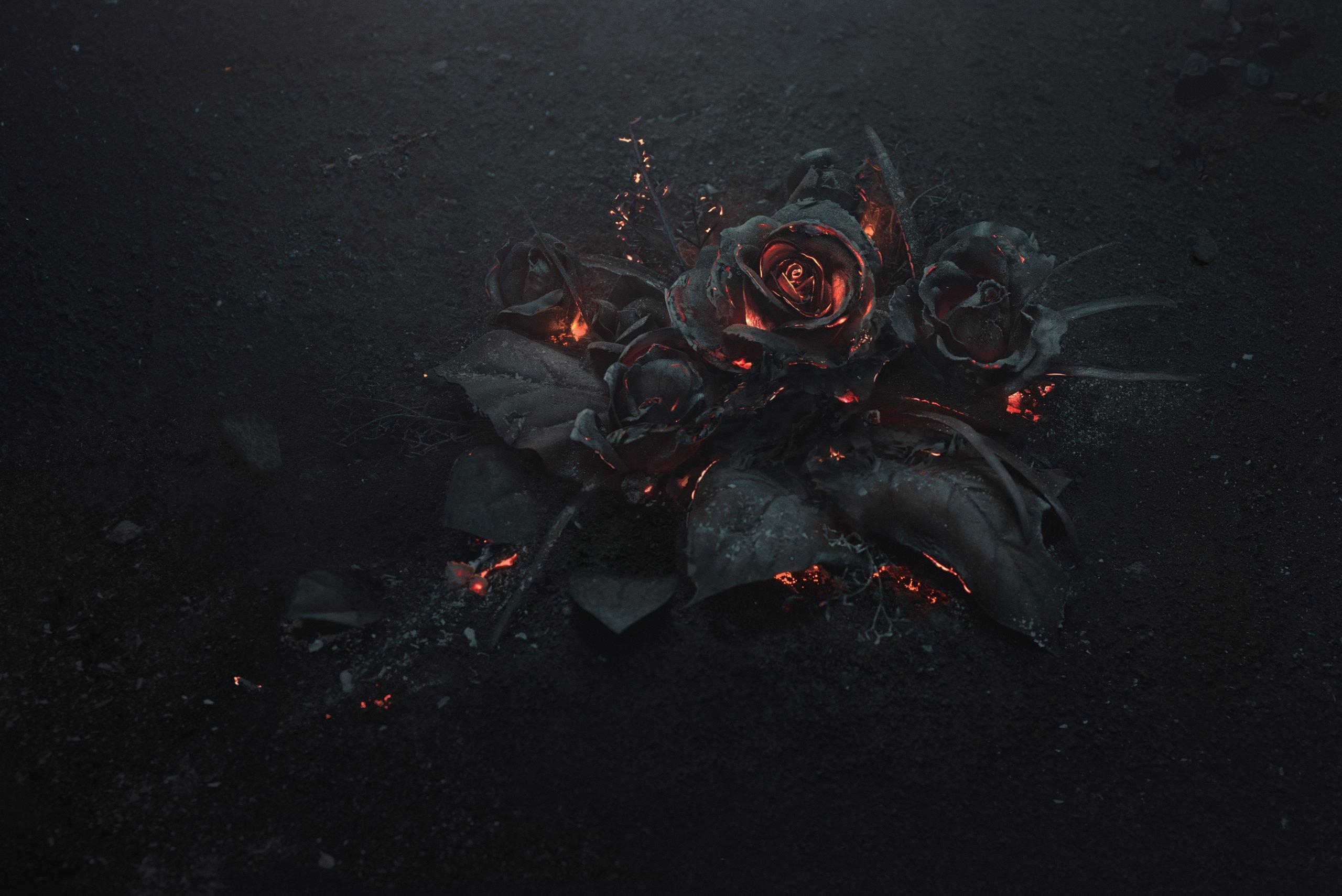 Wallpaper black rose illustration, ash, burning, abstract, dark, flowers • Wallpaper For You HD Wallpaper For Desktop & Mobile