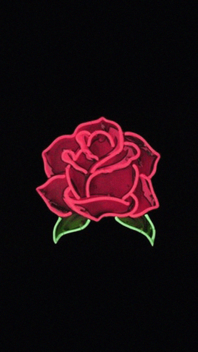 Red Roses Aesthetic Wallpaper