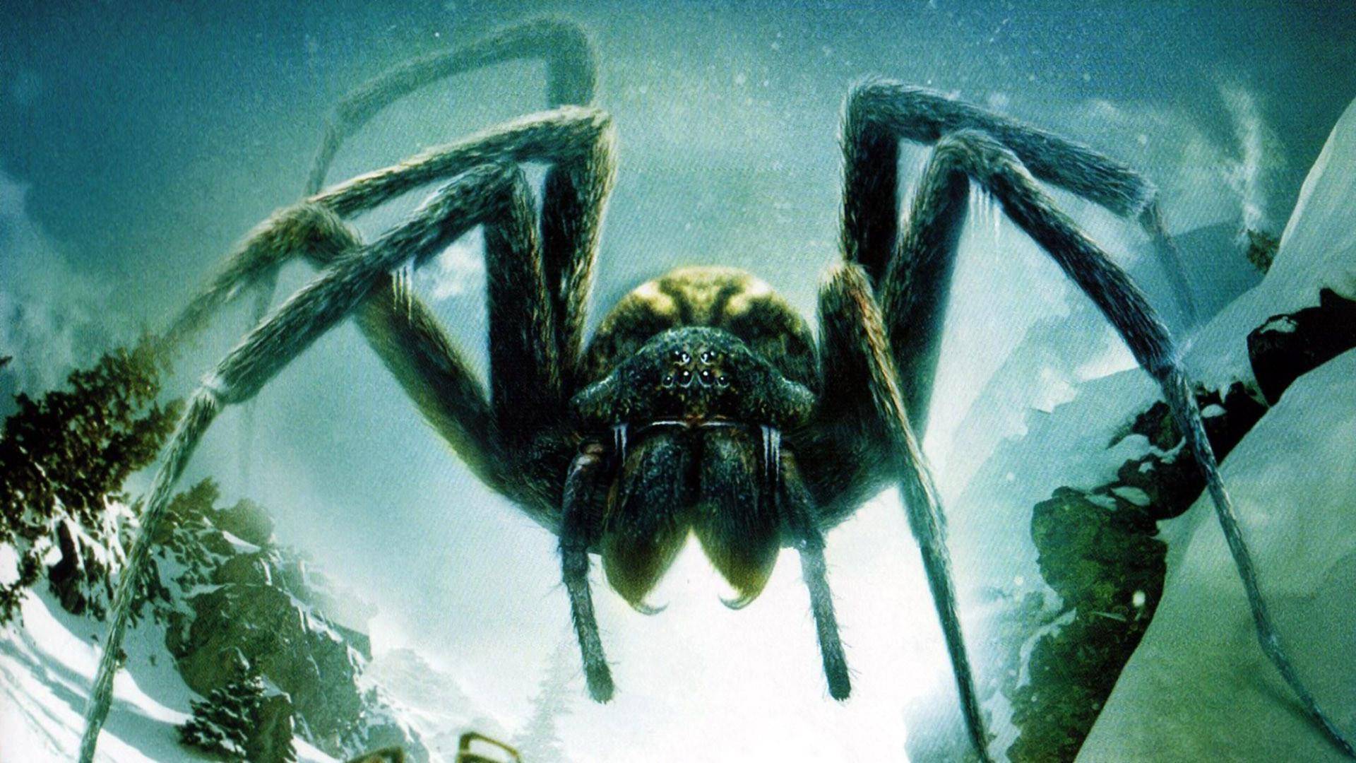 Giant Spider Wallpaper Free Giant Spider Background
