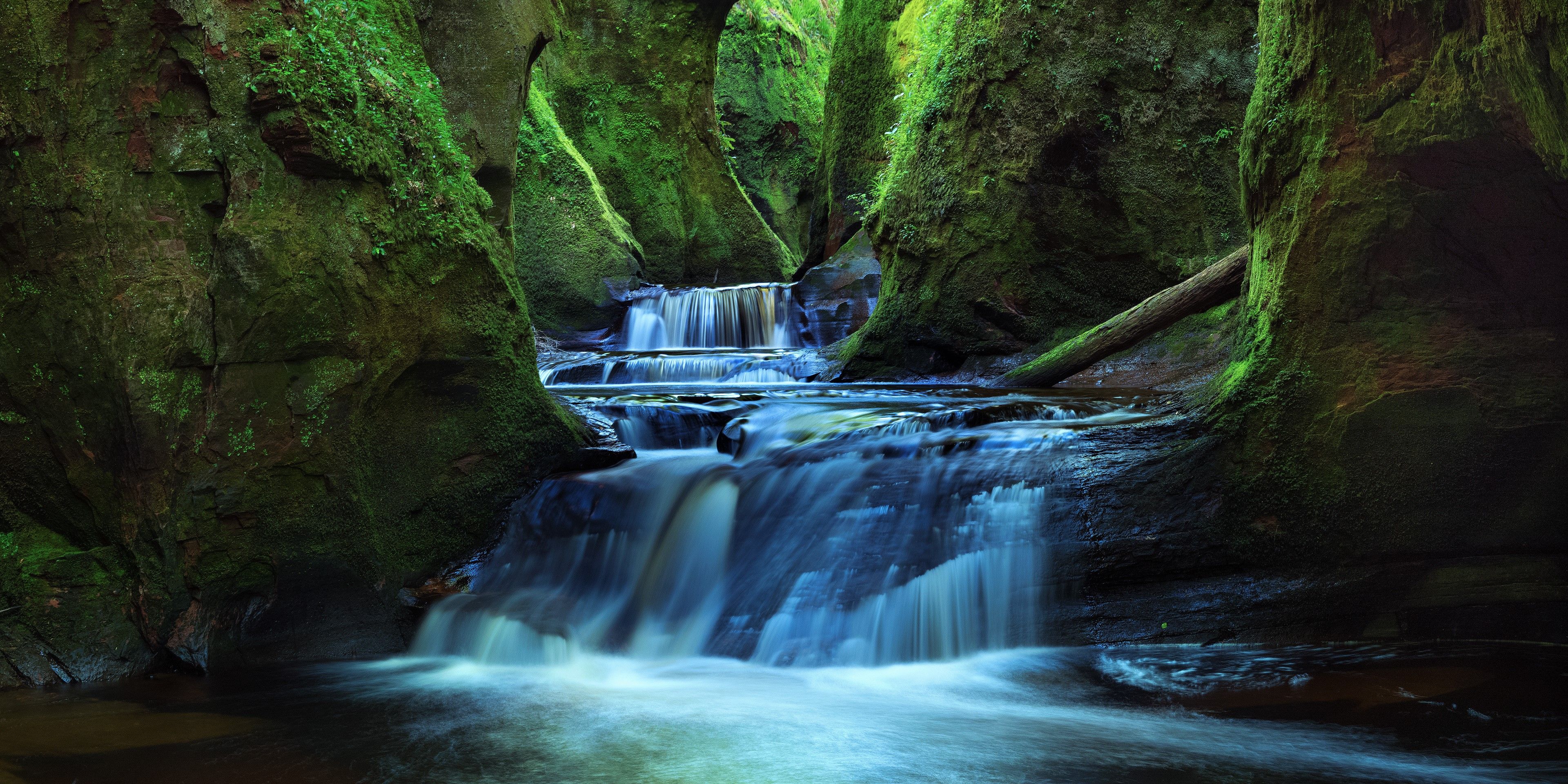 Forest 3840X1920 Wallpaper