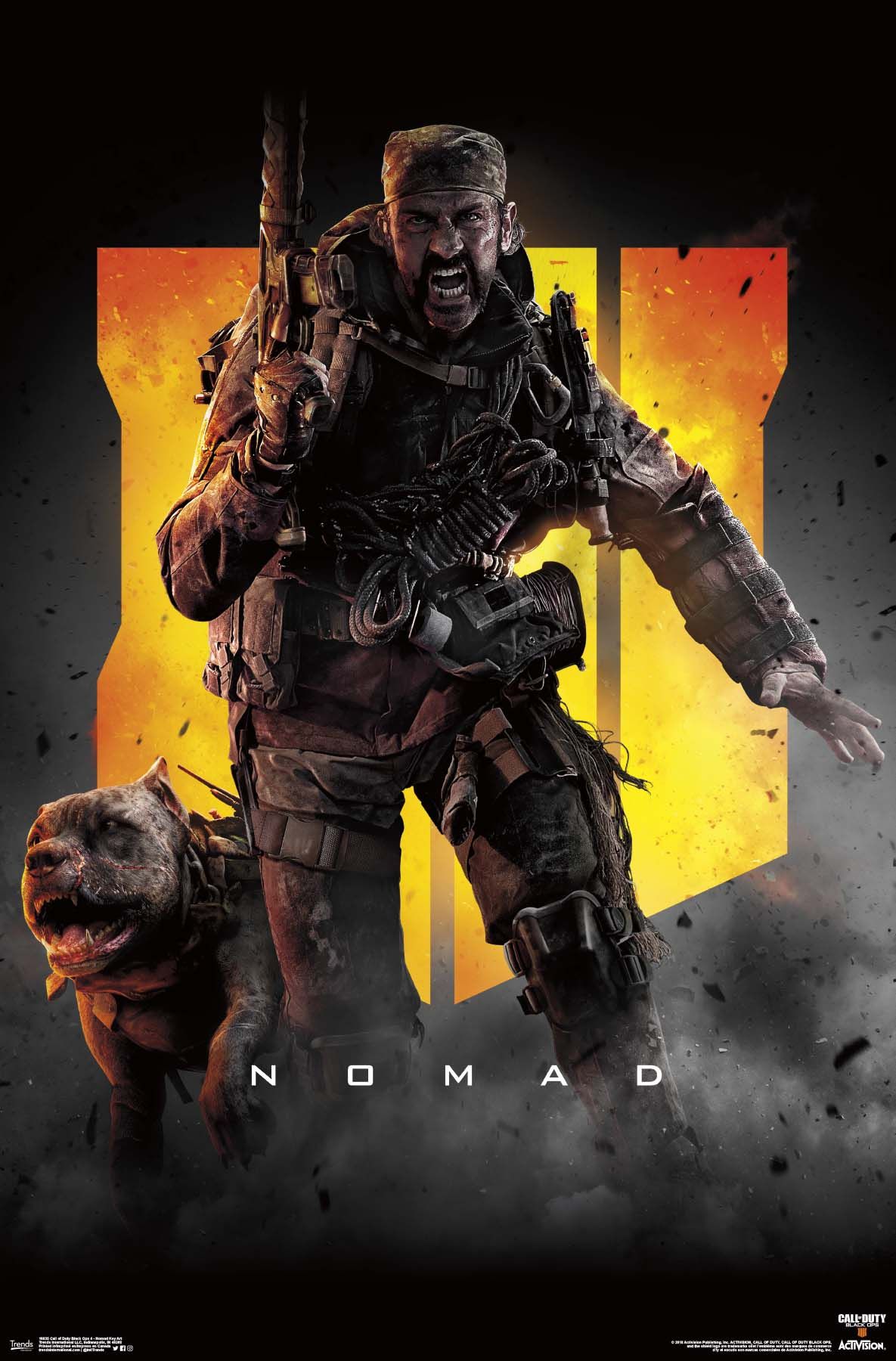 Call of Duty: Black Ops 4 Key Art Poster and Poster Mount Bundle.com. Call of duty black, Call of duty, Black ops 4