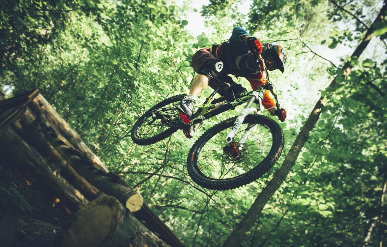 Wallpaper forest, bike, jump, forest, Ryder, fox, drop, suspension, downhill, the suspension, drop, full suspension, ns bike, rockshox image for desktop, section спорт
