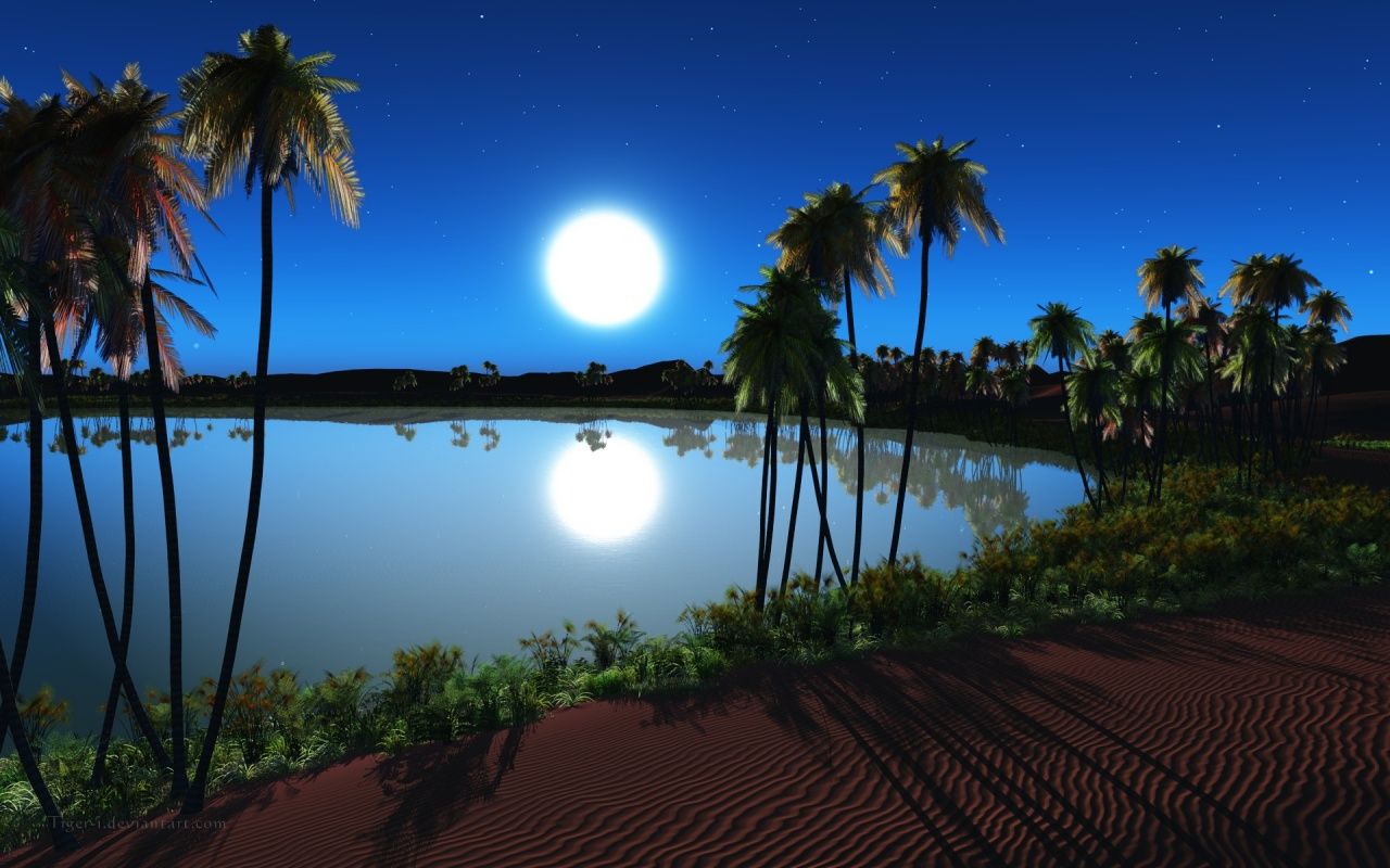 Oasis Night. Beautiful Image Nature, Nature Wallpaper, Nature Desktop Wallpaper