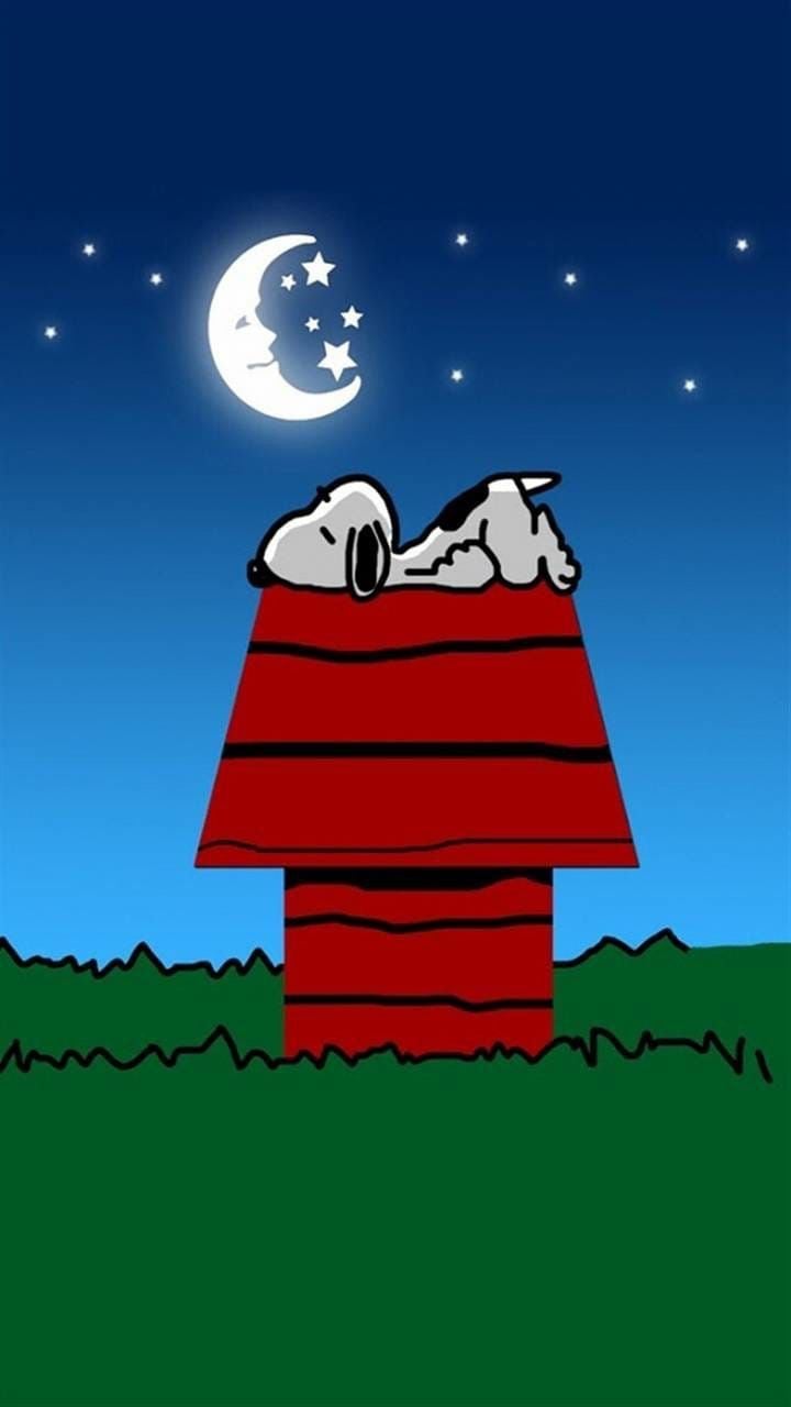 Snoopy Good Night Wallpaper