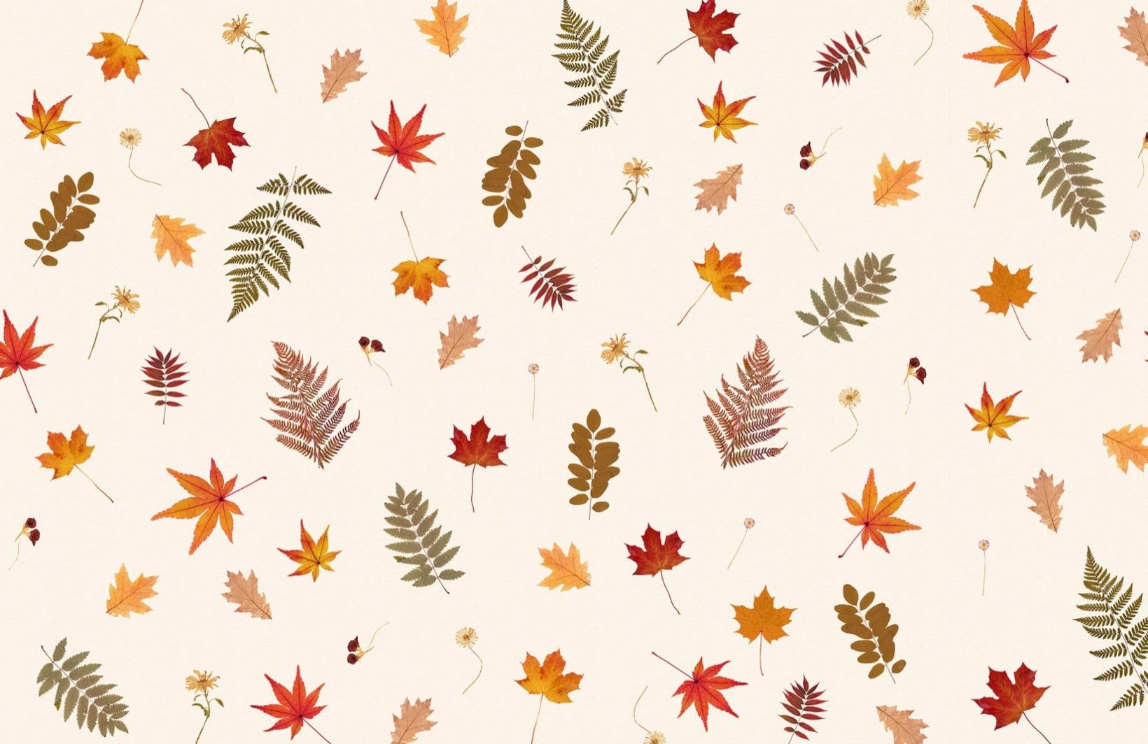 Pressed Autumn Leaf Pattern Wallpaper Mural. Fall wallpaper, Cute fall wallpaper, Thanksgiving iphone wallpaper