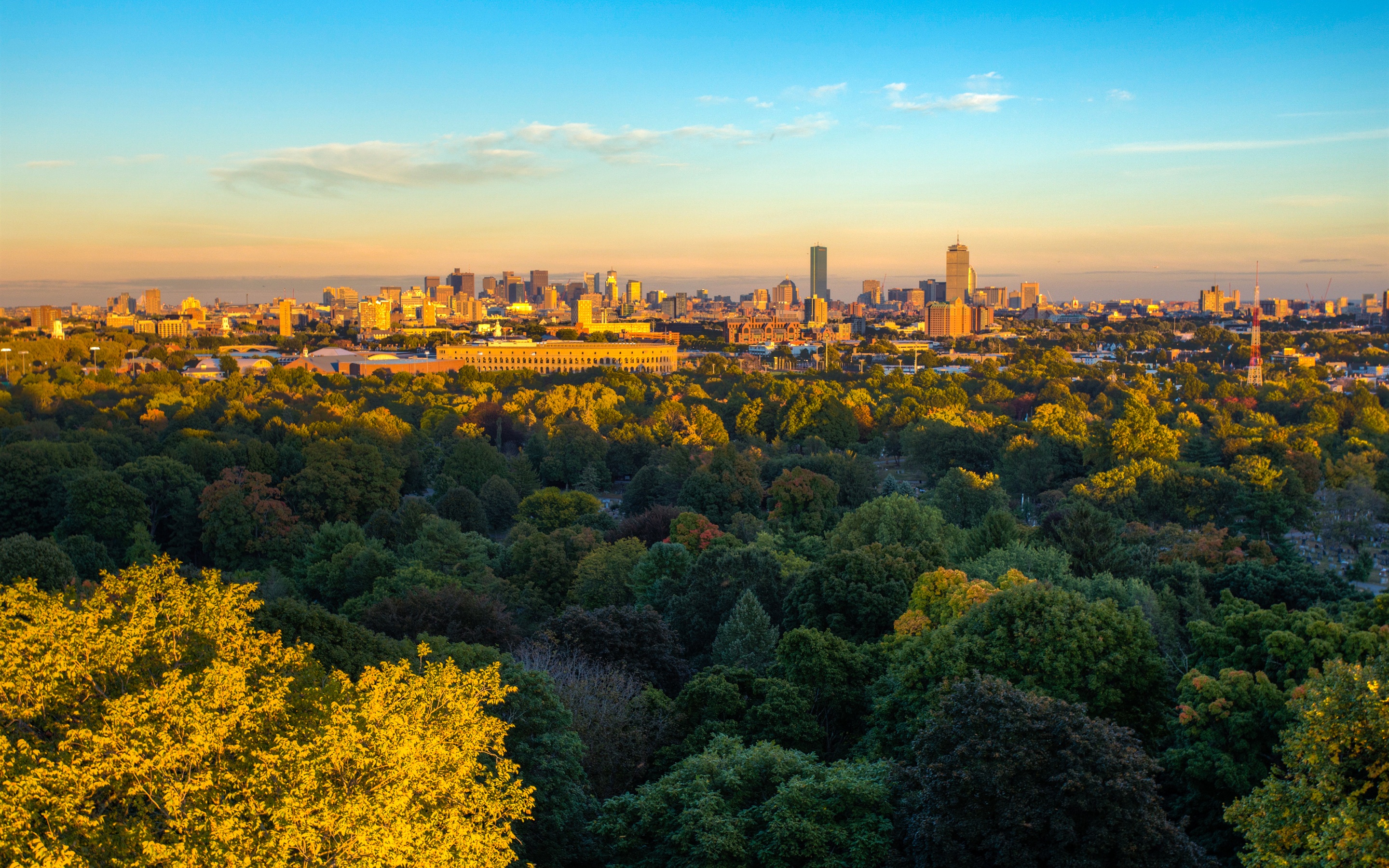 Wallpaper Boston, city, trees, autumn, USA 2880x1800 HD Picture, Image