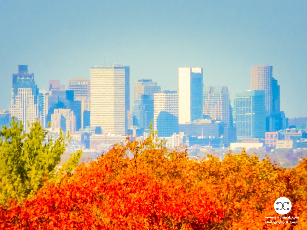 Fall in love with fall in Boston