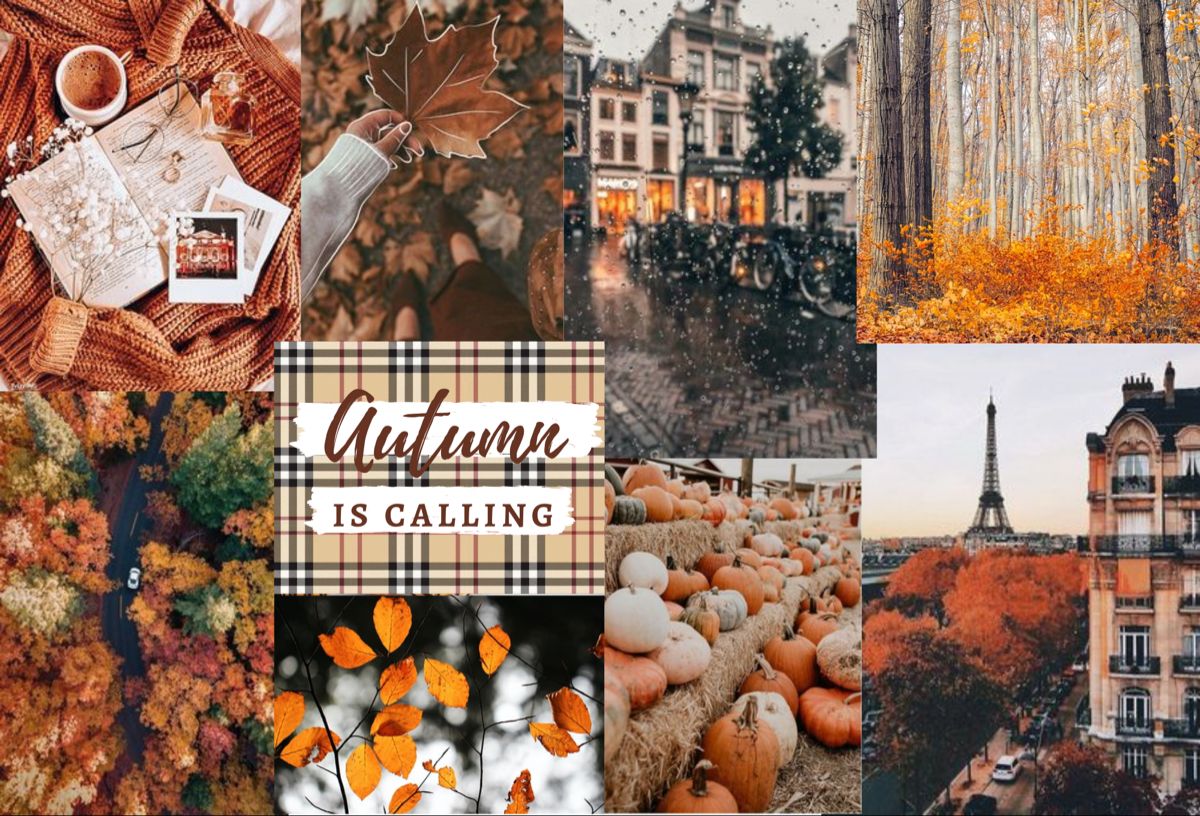 Autumn Aesthetic Collage Pc Wallpapers Wallpaper Cave