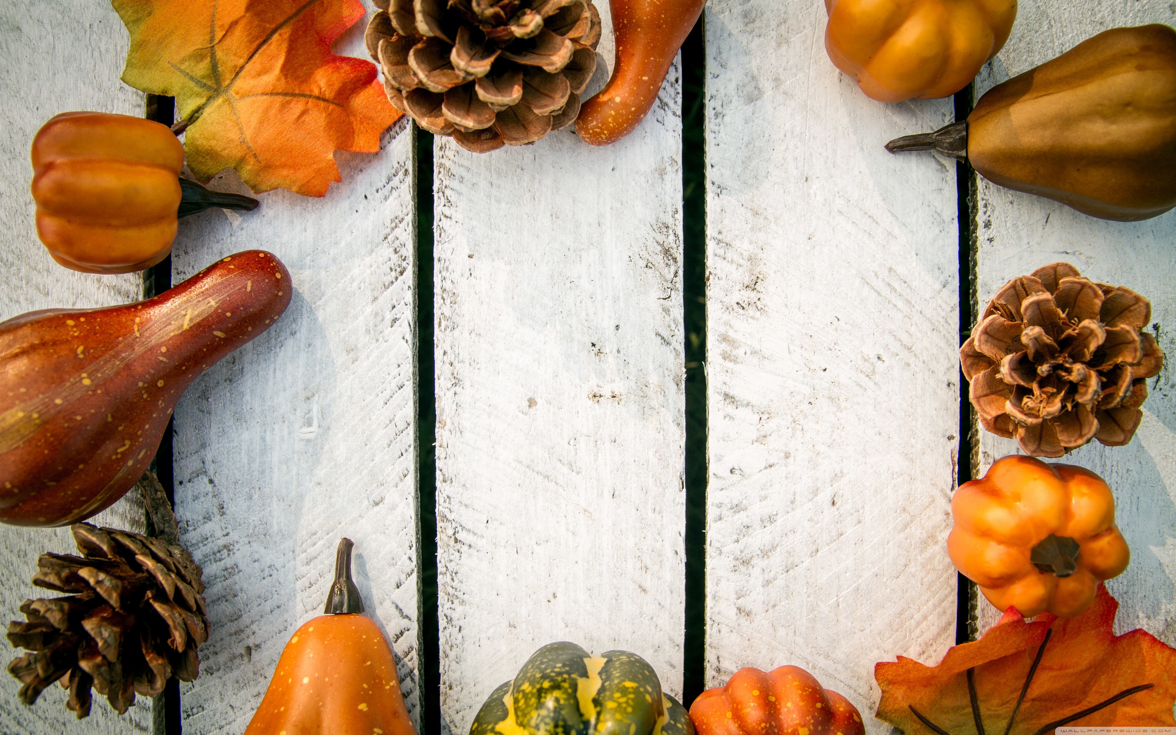 Autumn Decoration Ultra HD Desktop Background Wallpaper for: Widescreen & UltraWide Desktop & Laptop, Tablet