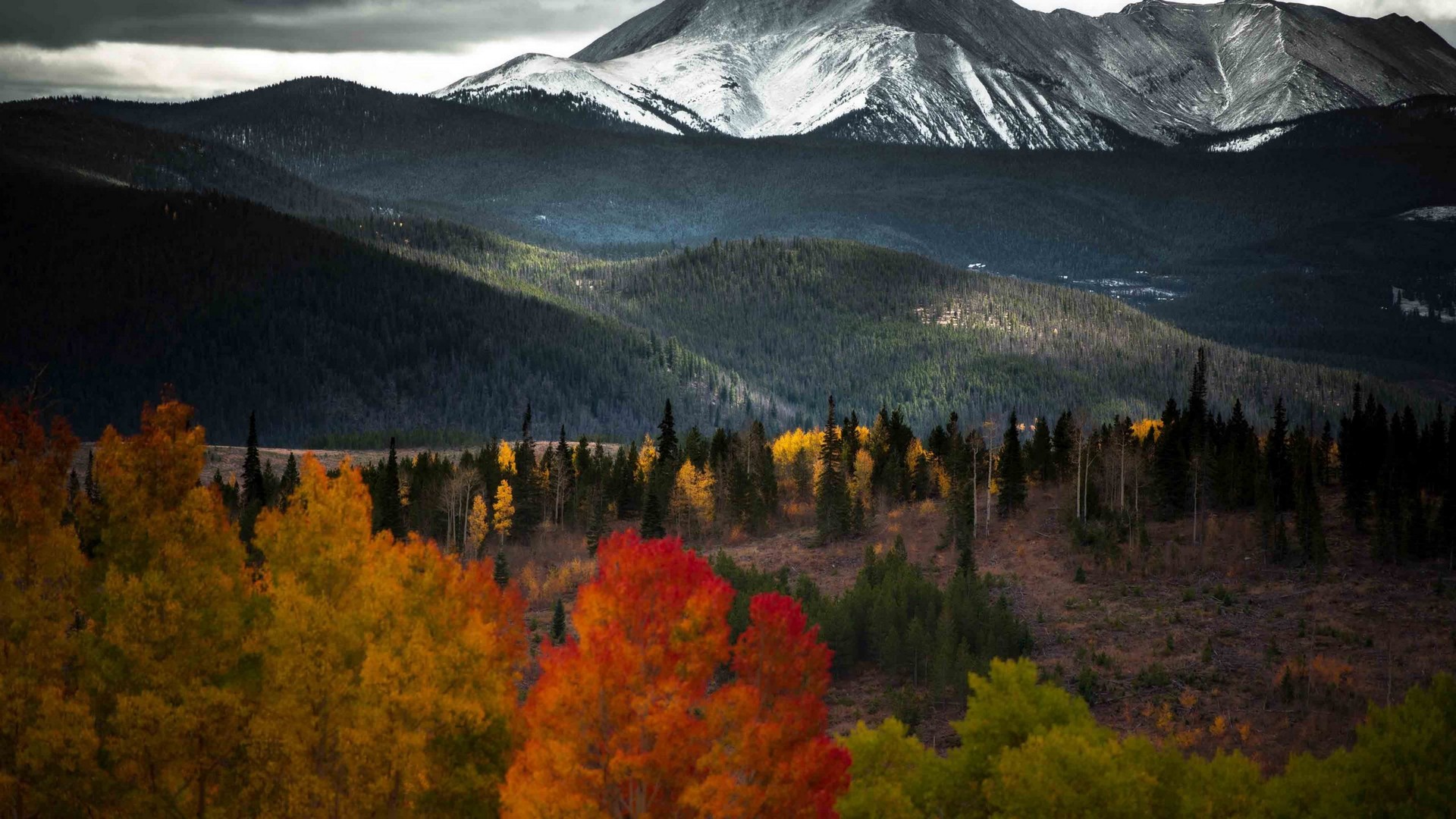 Wallpaper Fall Aesthetic Desktop Cute Wallpaper