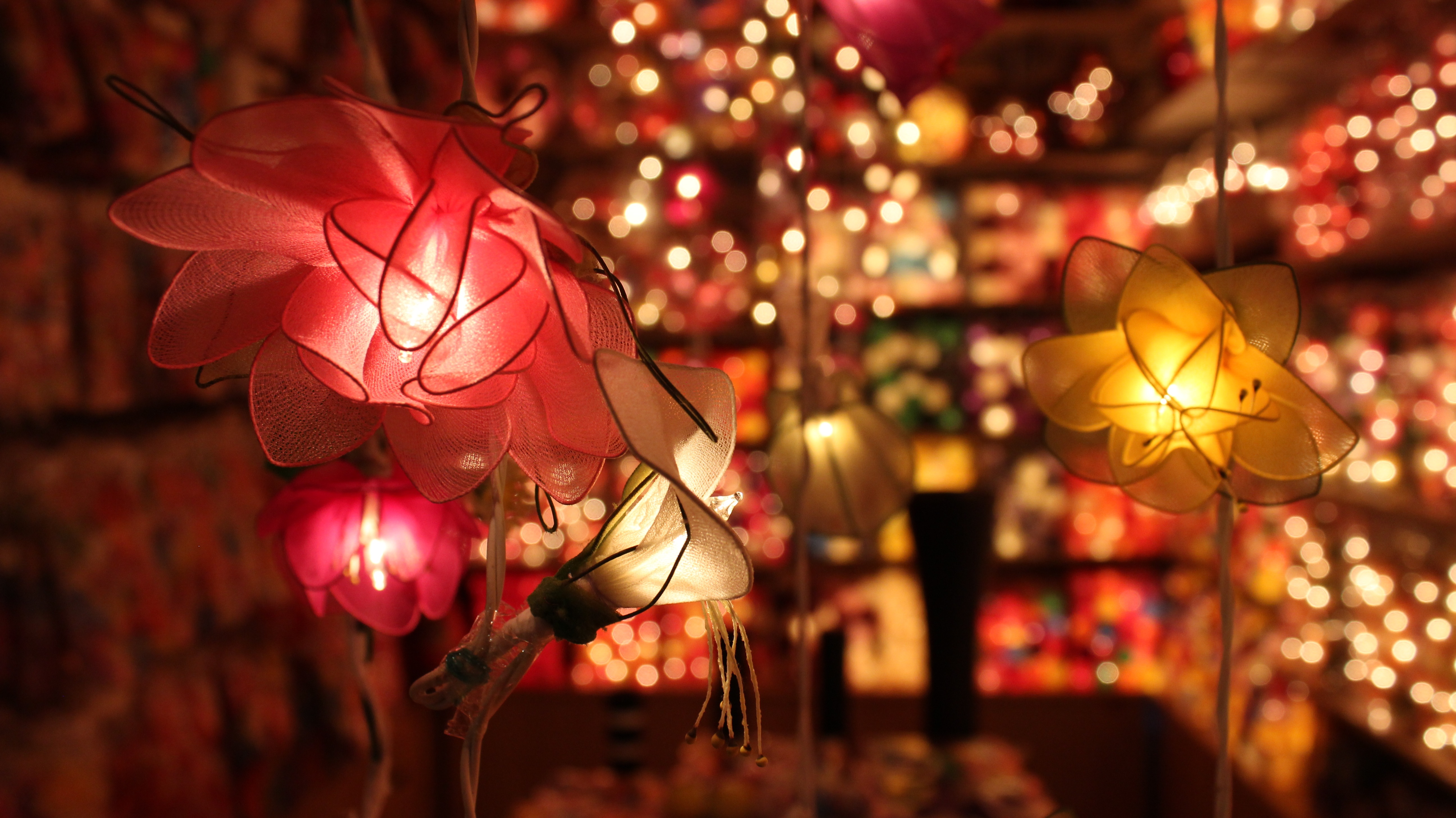 Free Image, branch, light, night, leaf, holiday, lighting, decor, flowers, christmas decoration, fete, lamps, event, tradition, christmas lights, mid autumn festival, computer wallpaper 5184x2912