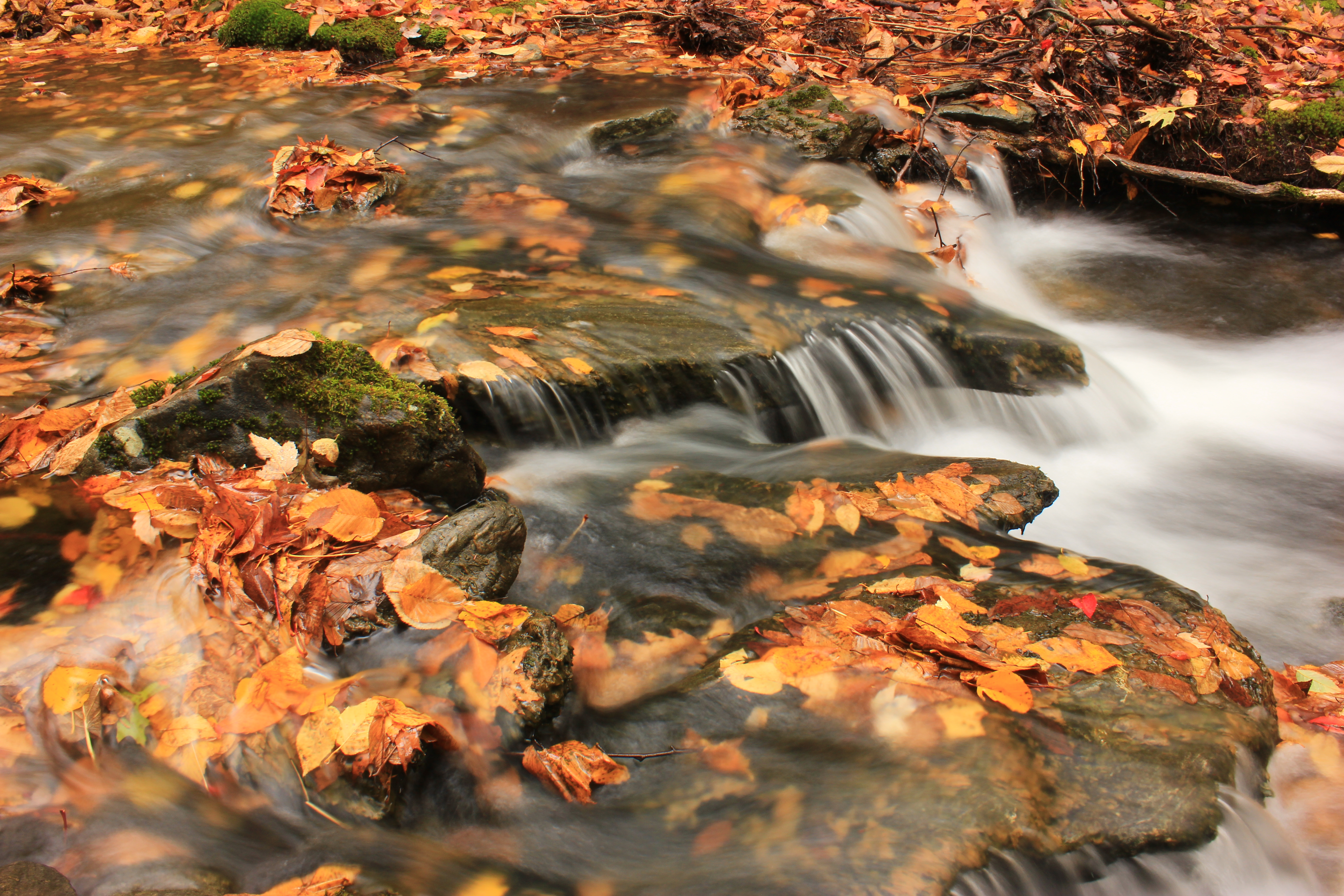 Wallpaper, longexposure, autumn, fall, nature, water, beautiful, landscape, landscapes, waterfall, colorful, hiking, Earth, exploring, ngc, newengland, autumncolors, fallfoliage, explore, waterfalls, exquisite, majestic, Discovery, nationalgeographic