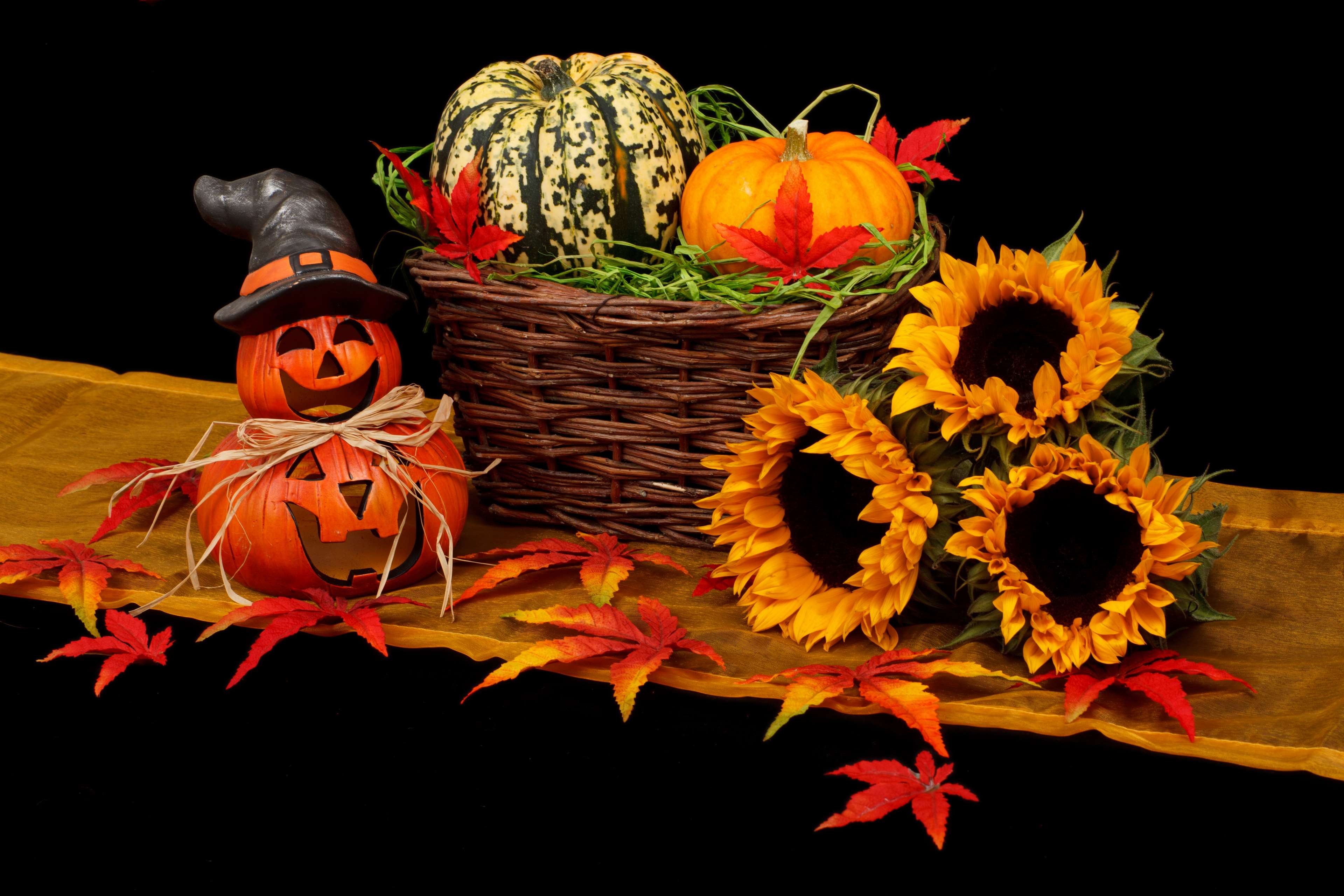 autumn, decoration, fall, halloween, holiday, pumpkin, spooky 4k wallpaper