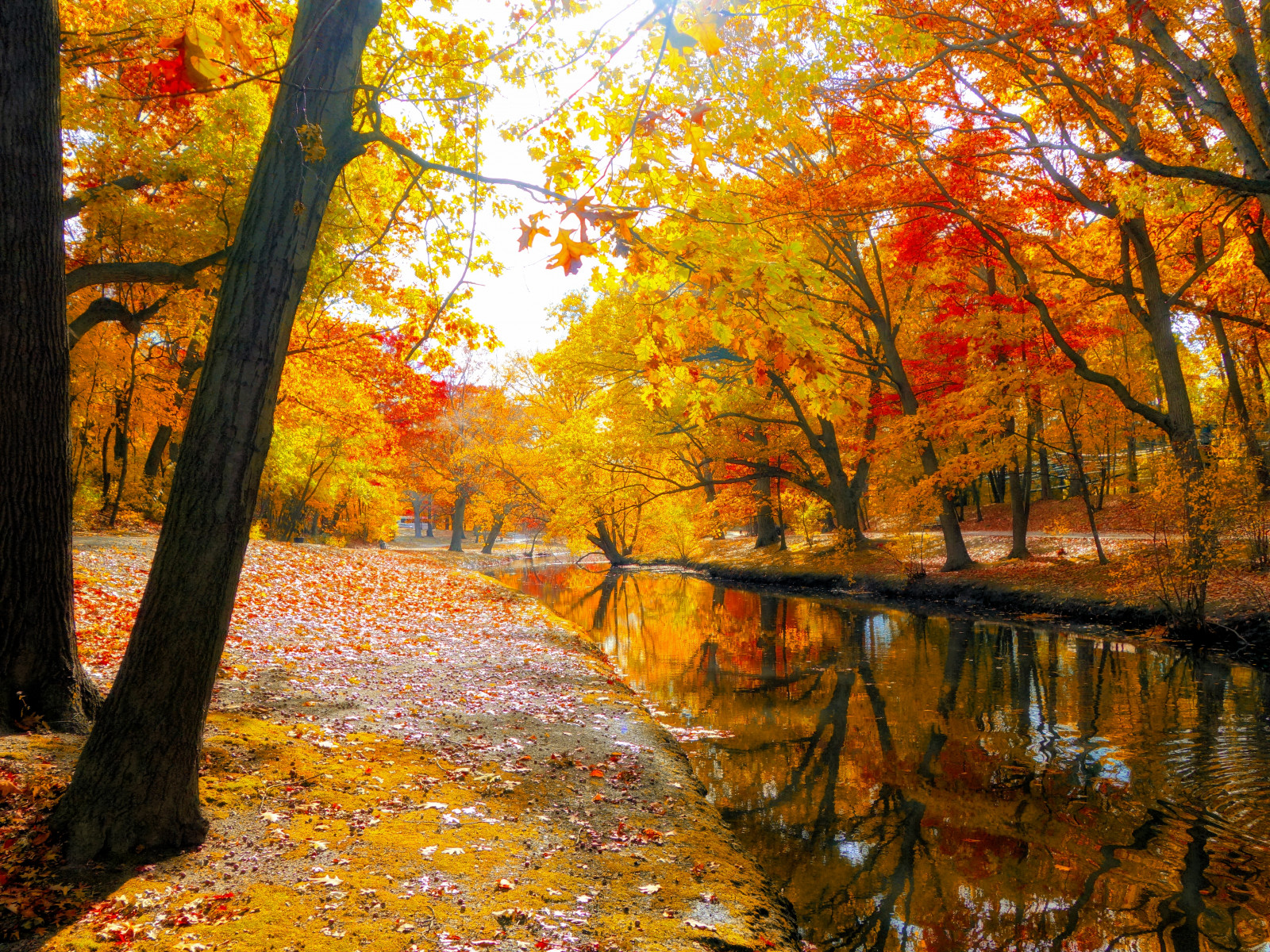 Massachusetts Autumn Wallpapers - Wallpaper Cave