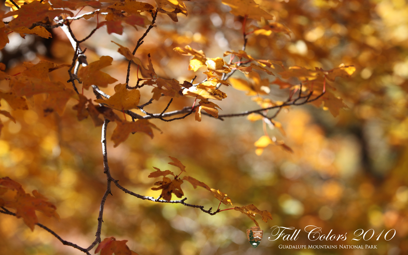 Desktop Wallpaper Mountains National Park (U.S. National Park Service)