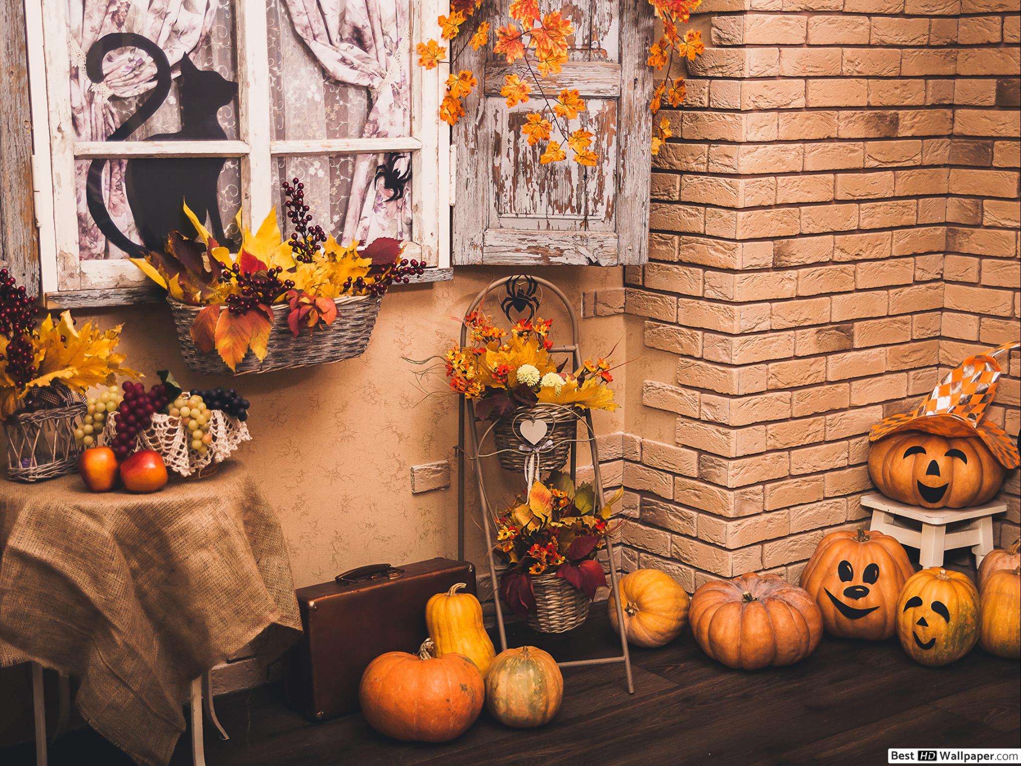 Fall halloween HD wallpaper download