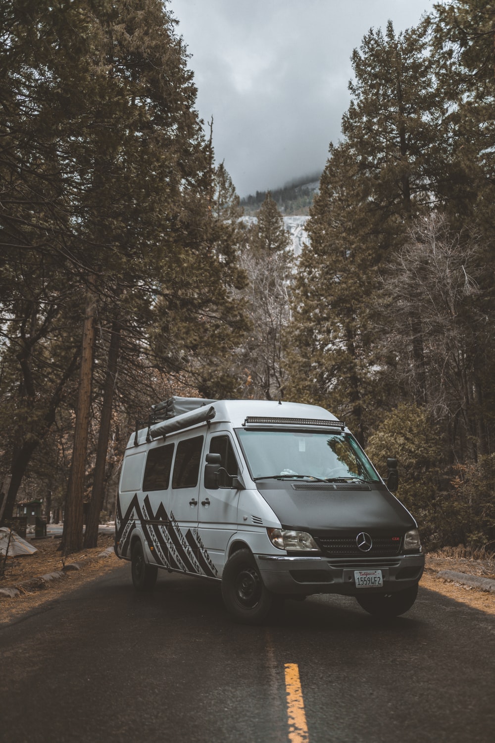 white and blue van parked near trees during daytime photo