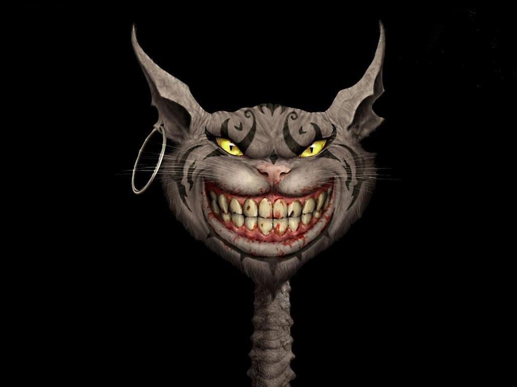 Free download Cat Wallpaper Funny Cat Picture Desktop Background Wallpaper [1024x768] for your Desktop, Mobile & Tablet. Explore 3D Moving Cats Wallpaper. Wallpaper Crazy Cats and Dogs, Cute Cat