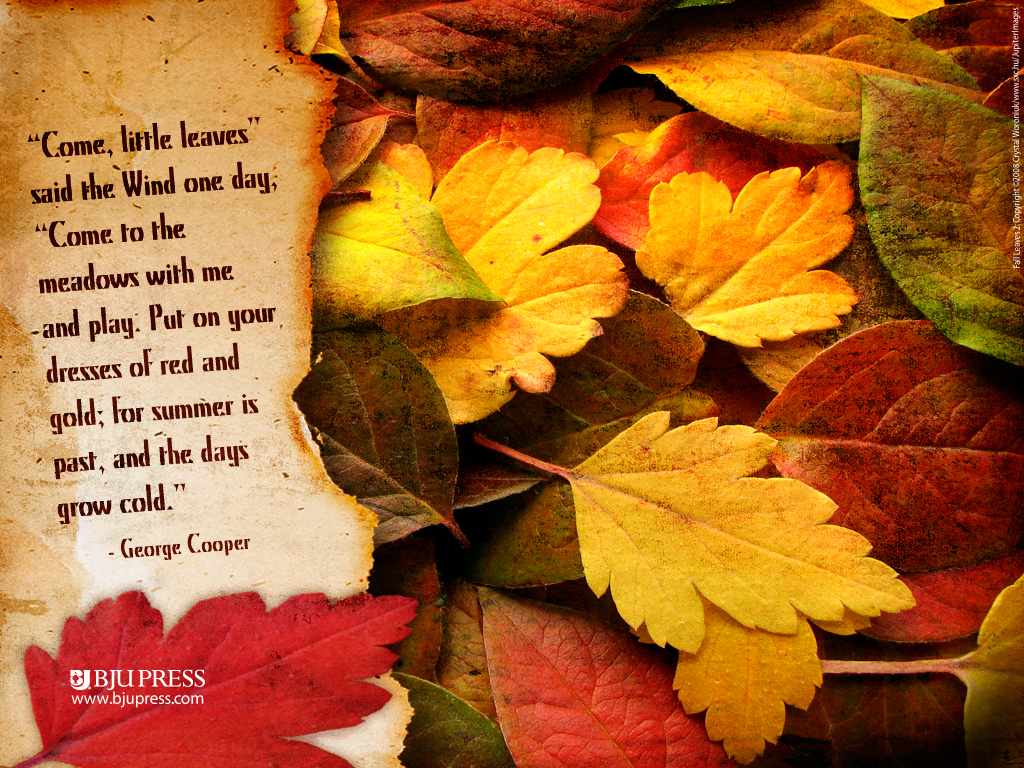 Autumn Background With Quotes. QuotesGram
