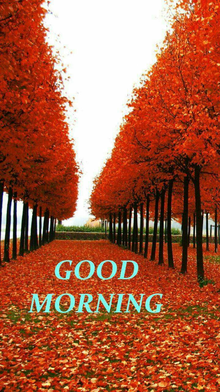 ᏰᏝᏋᏕᏕᎥᏁᎶᏕ &ᎶᏒᏋᏋᏖᎥᏁᎶᏕ. Morning picture, Good morning image, Autumn wallpaper hd