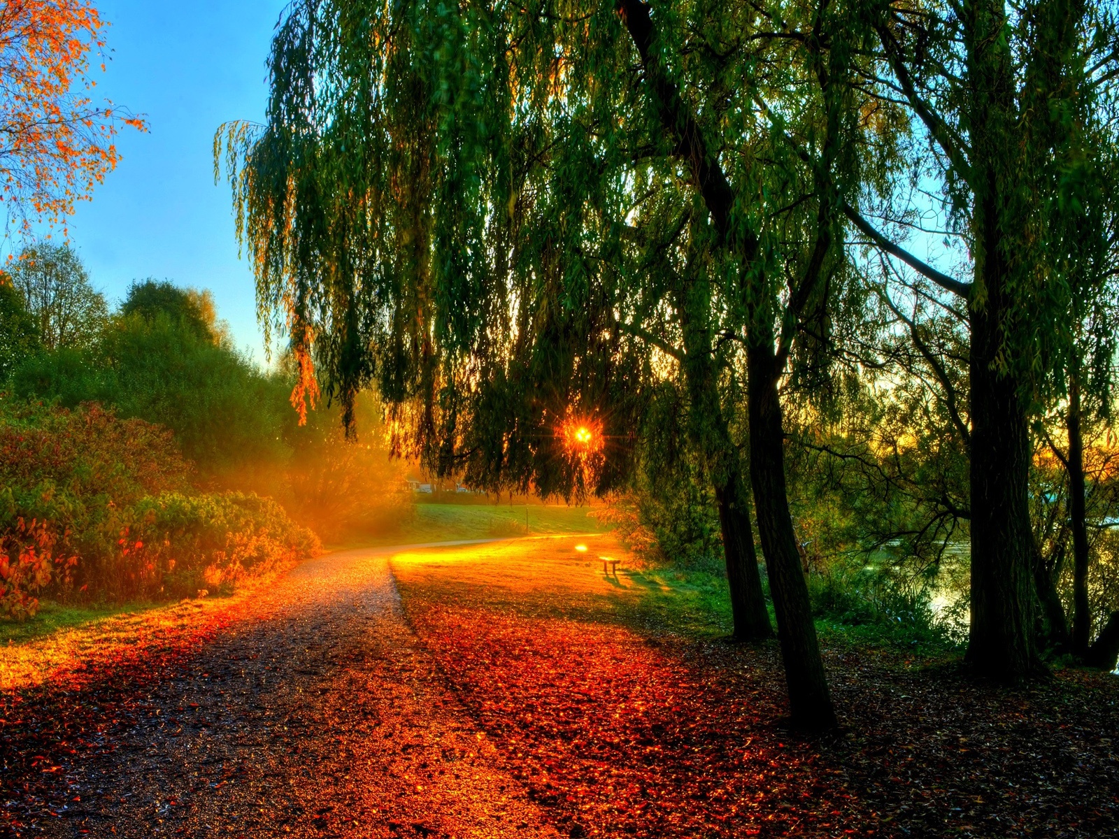 Wallpaper Beautiful autumn scenery, morning sunrise, trees, leaves, path 1920x1200 HD Picture, Image