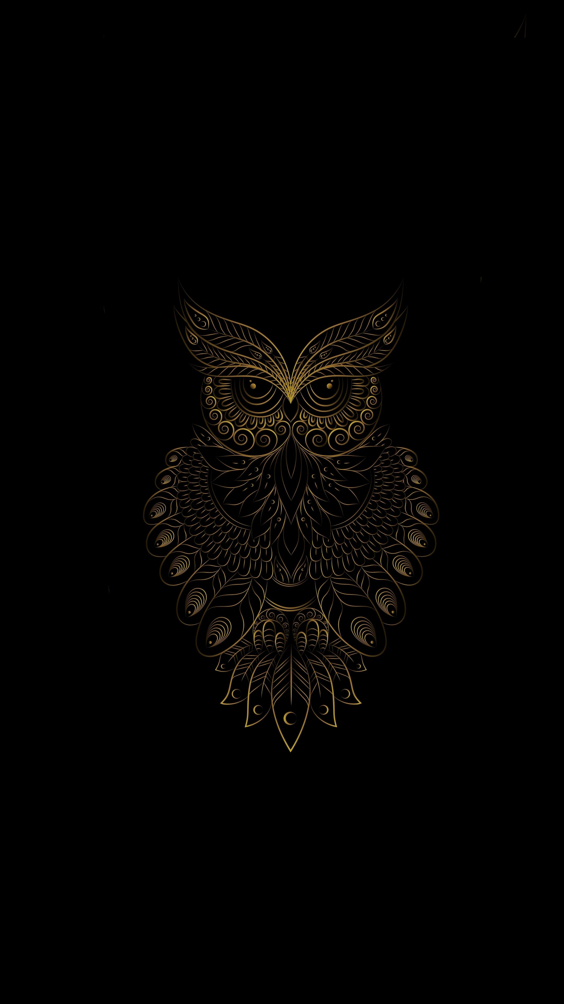Golden Owl bird, pattern, art wallpaper. Owl wallpaper, Owl bird, Owl