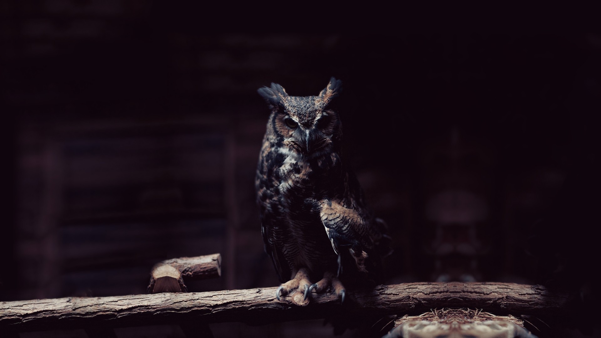 Free download Dark Owl Wallpaper [1920x1080] for your Desktop, Mobile & Tablet. Explore Owl Wallpaper. Cute Owl Wallpaper, Snowy Owl Wallpaper, Owl Desktop Wallpaper