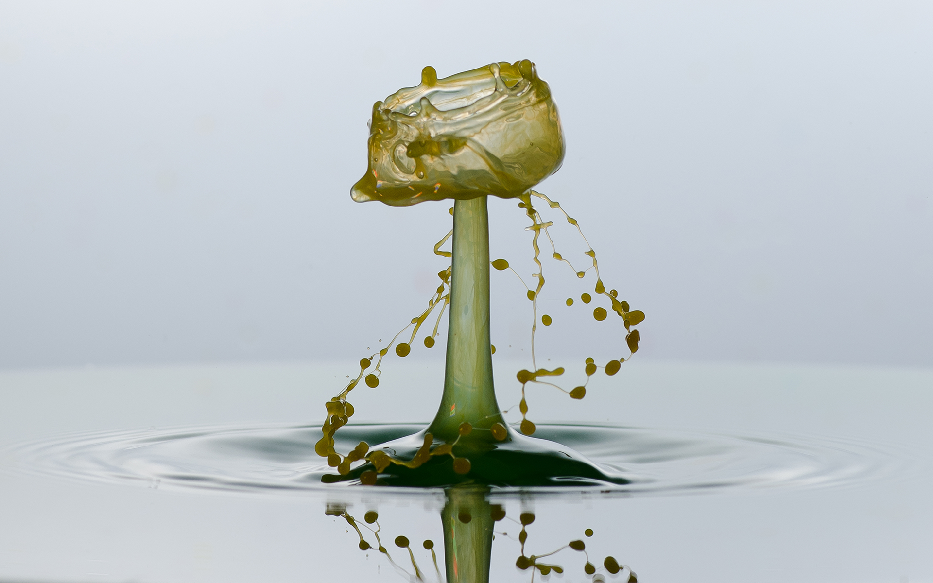 water, Drops, Stop, Motion, 3D, Tea, Drinks Wallpaper HD / Desktop and Mobile Background