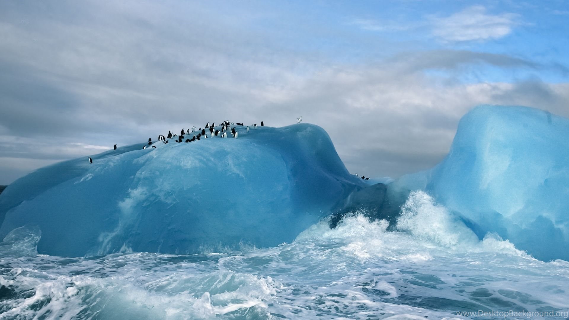Download Wallpaper 2560x1080 Antarctica, Penguins, Ice, Ocean. Desktop Background