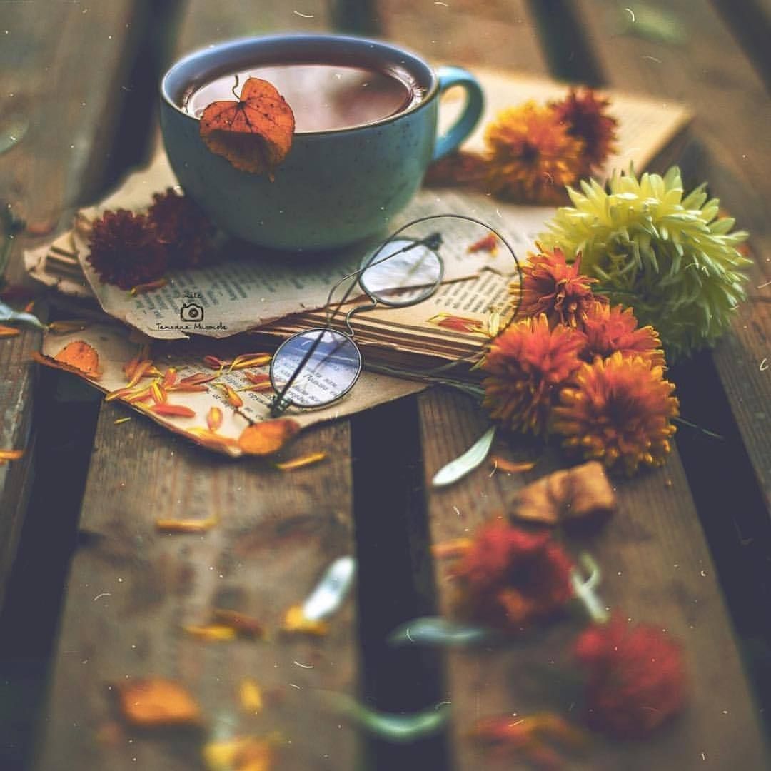 Cozy Dreams ideas. autumn cozy, coffee and books, book photography