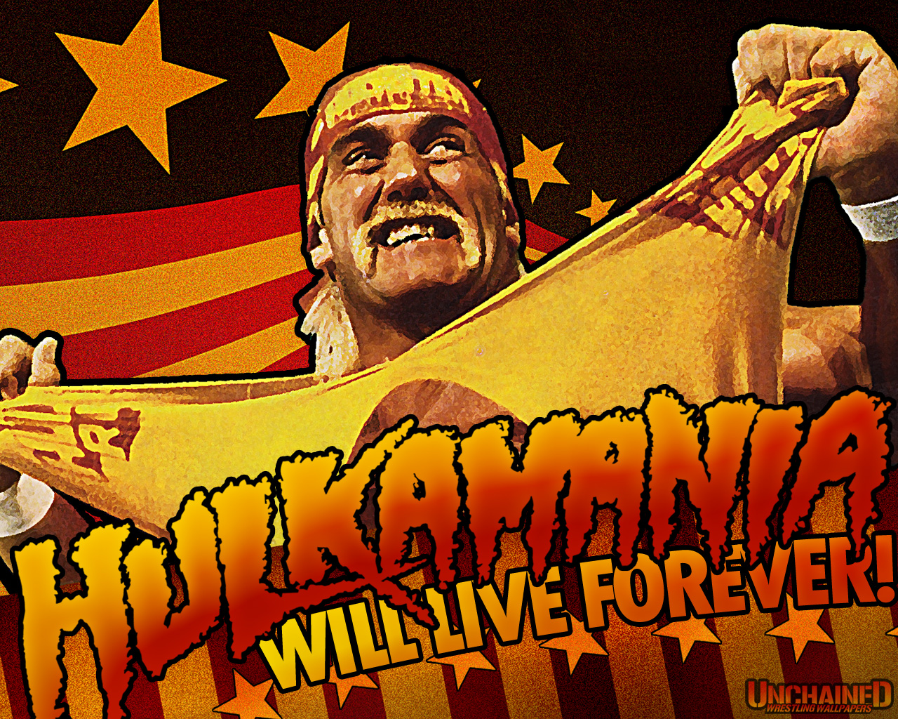 76+ Hulk Hogan Wallpapers.