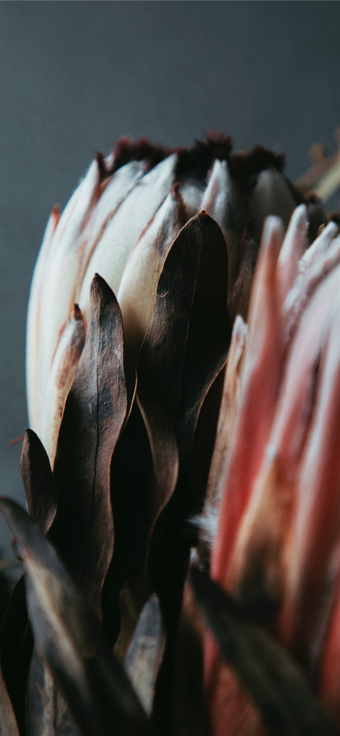 Best Retro iPhone X HD Wallpaper