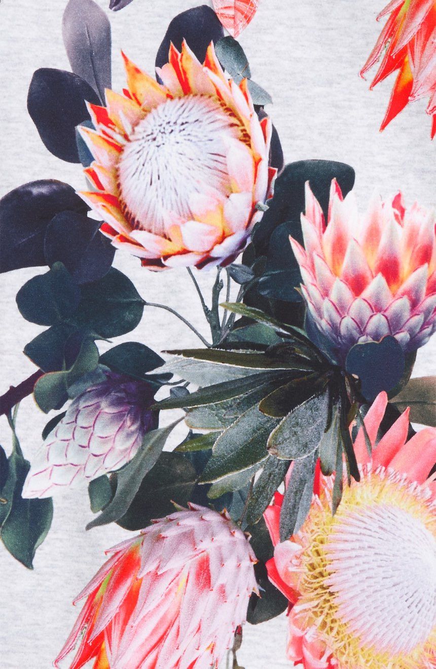 26++ Tropical Flowers iPhone Wallpaper