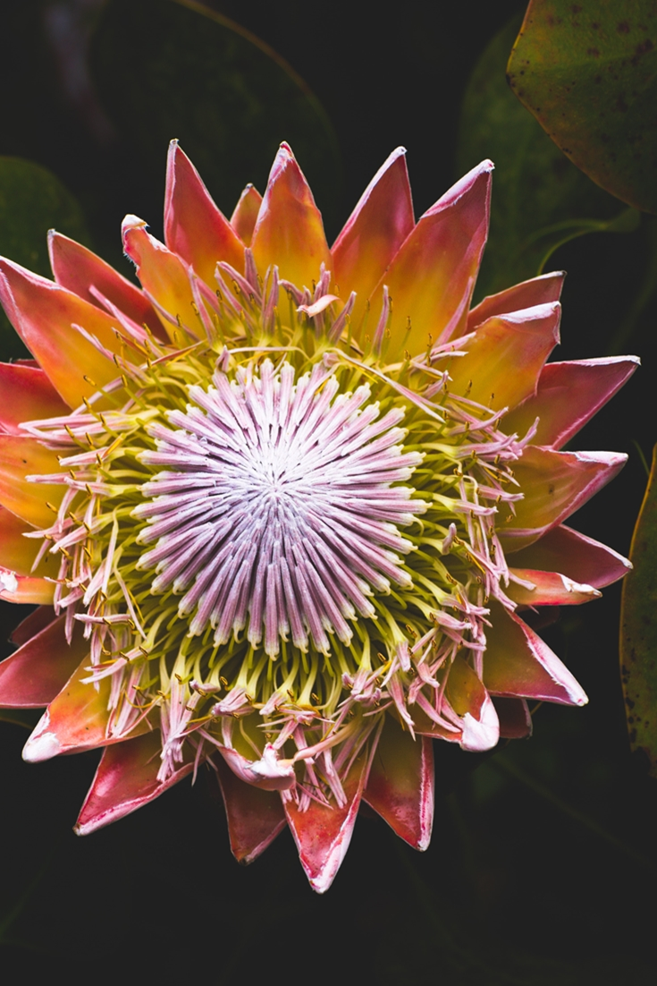 Beautiful Nature Wallpaper for Android ideas. beautiful nature wallpaper, nature wallpaper, beautiful nature