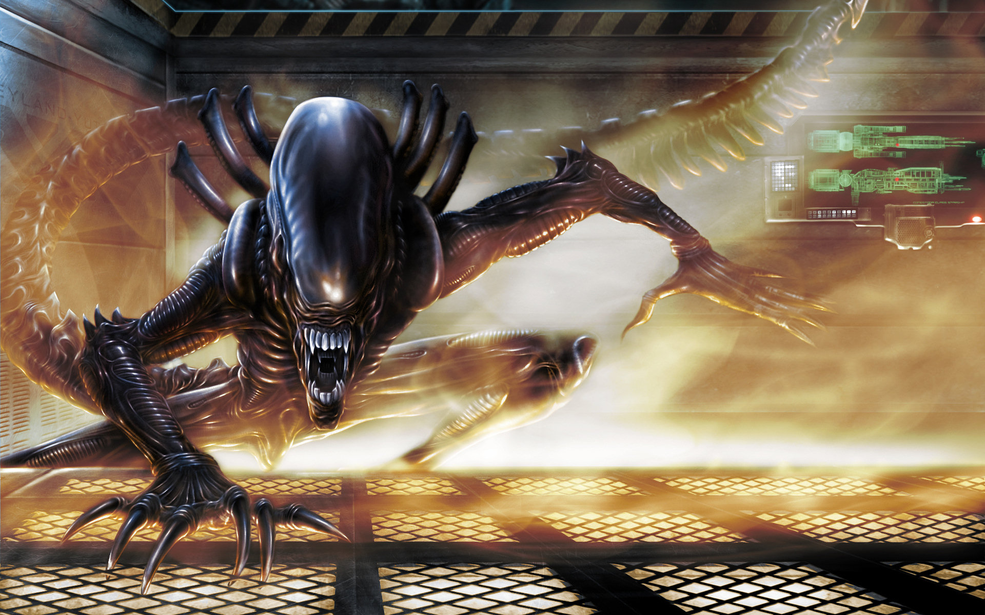 Xenomorph HD Wallpaper and Background