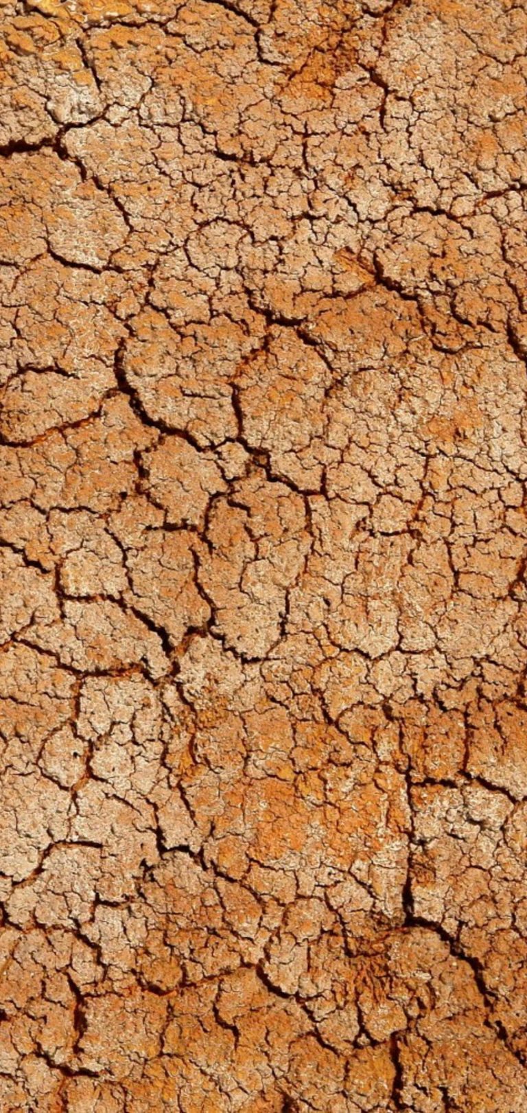 HD Mobile Phone Wallpaper for Background×3040 Wallpaper