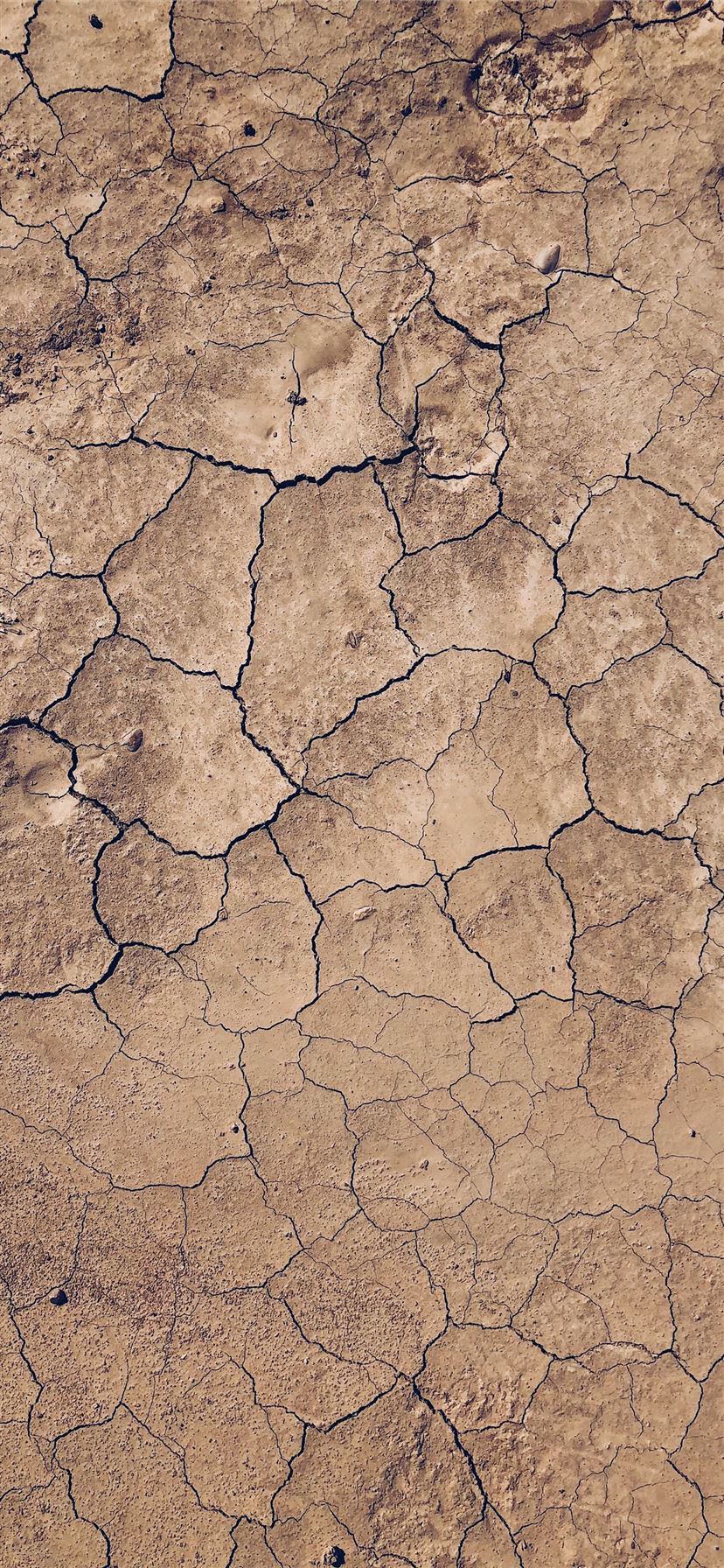 Latest Brown iPhone 11 HD Wallpaper