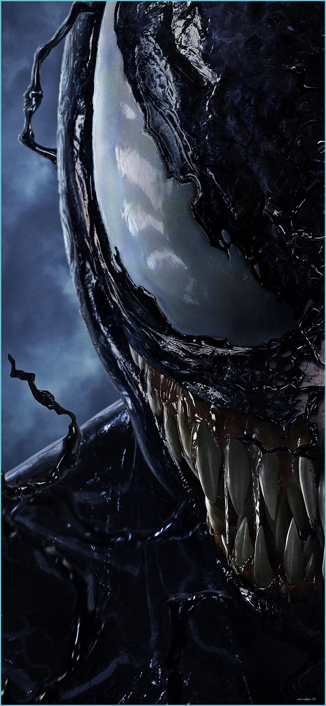Questions To Ask At Venom Wallpaper 14k