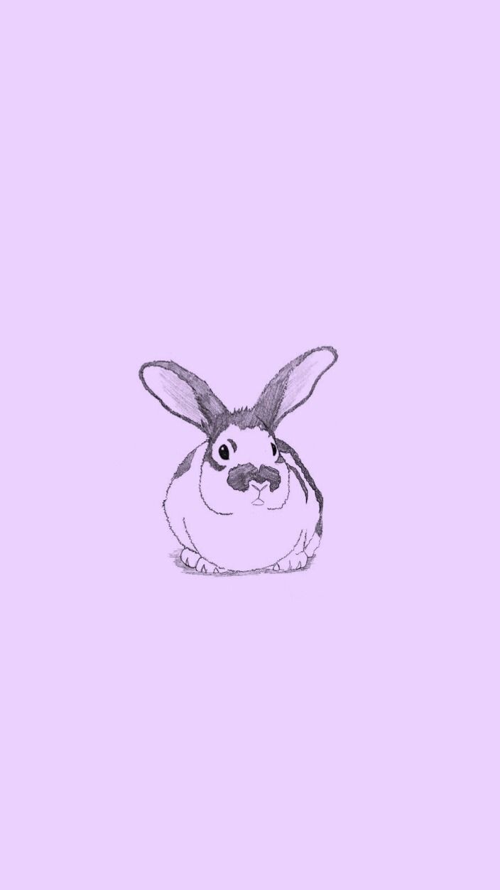 Bunny Aesthetic Wallpaper
