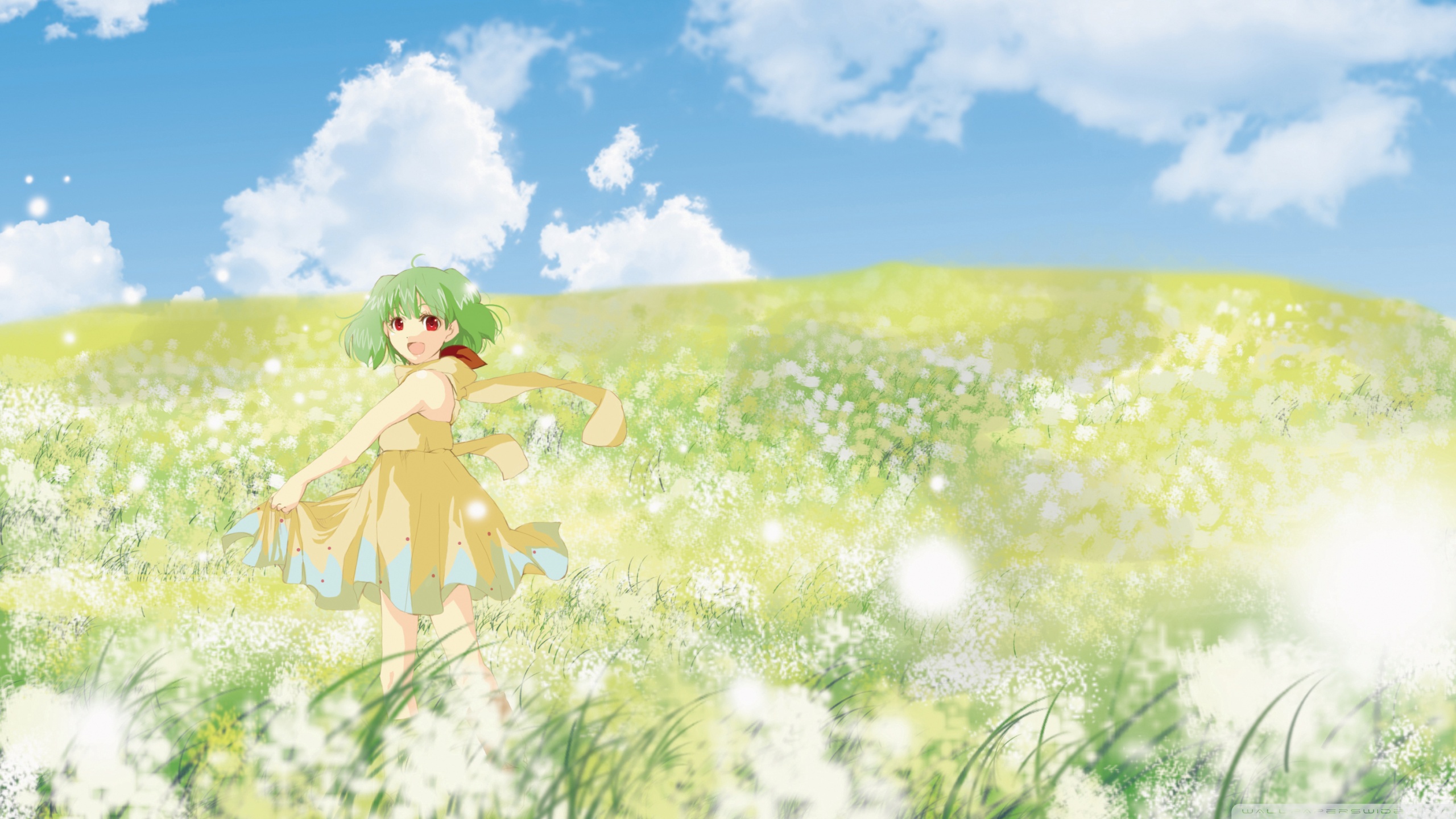 Anime Girl In Flower Field Ultra HD Desktop Background Wallpaper for 4K UHD TV, Tablet