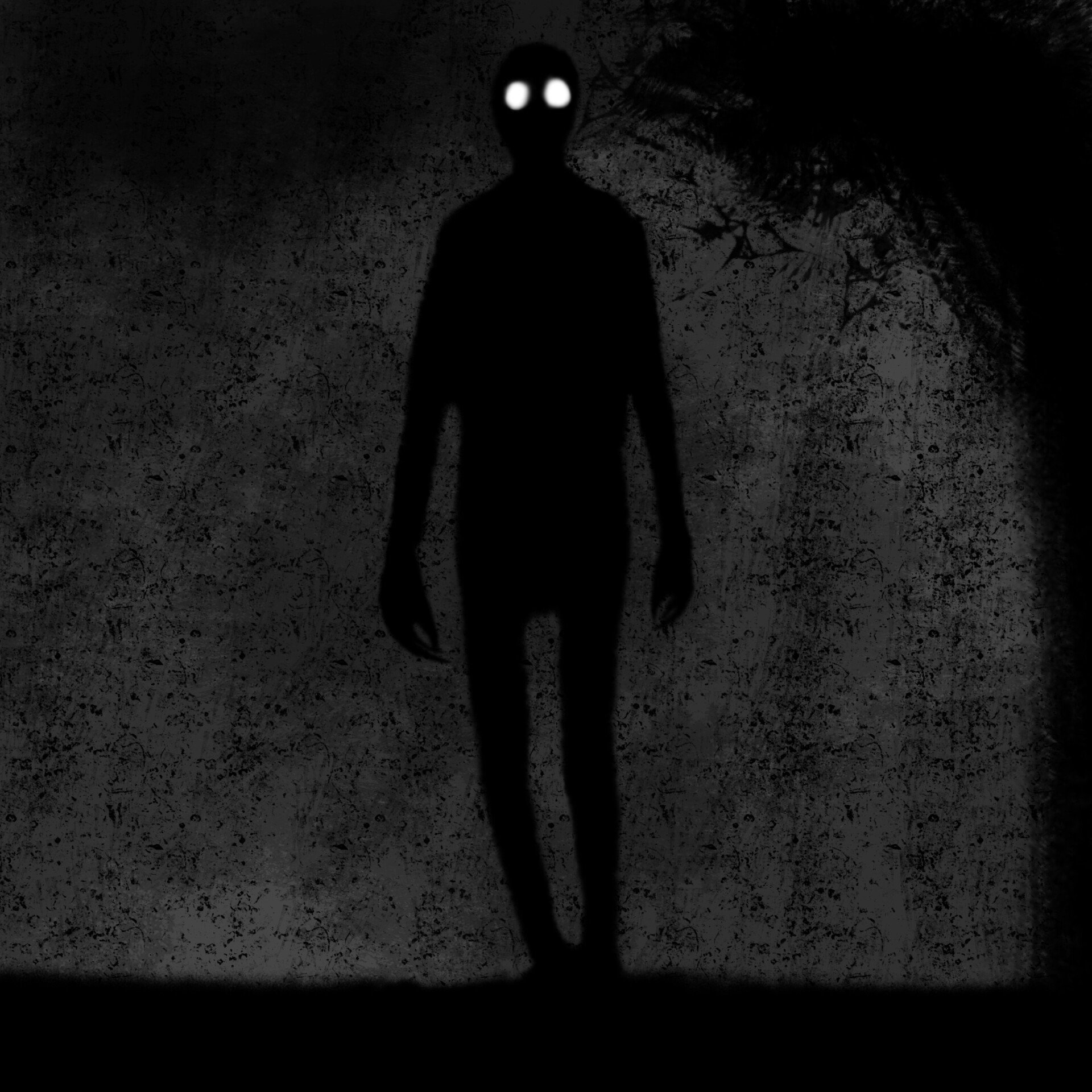 Shadow people. Shadow person. The only entity.