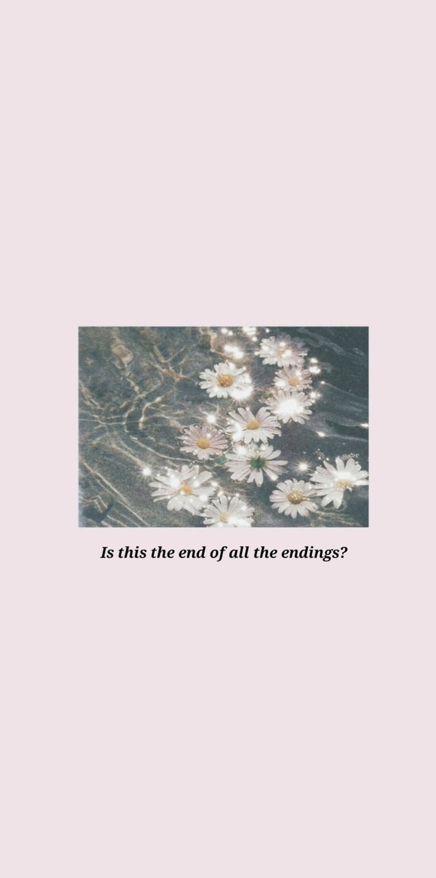 flowers, taylor swift wallpaper and aesthetic