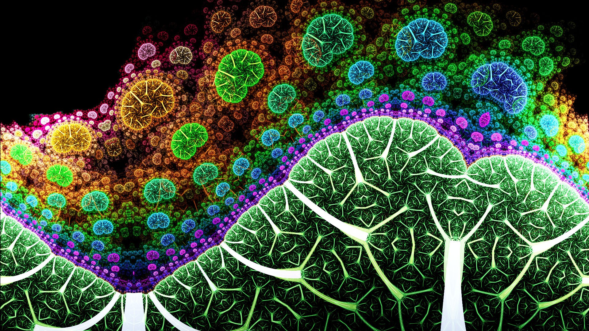 Colorful Mushrooms Fractal Art HD Abstract Wallpaper