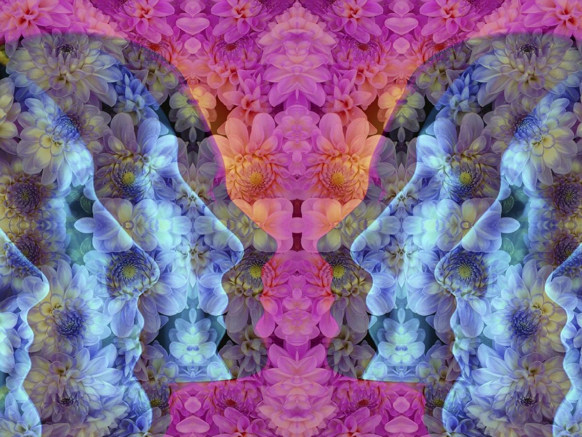 Michael Pollan on What It's Like to Trip on Mushrooms